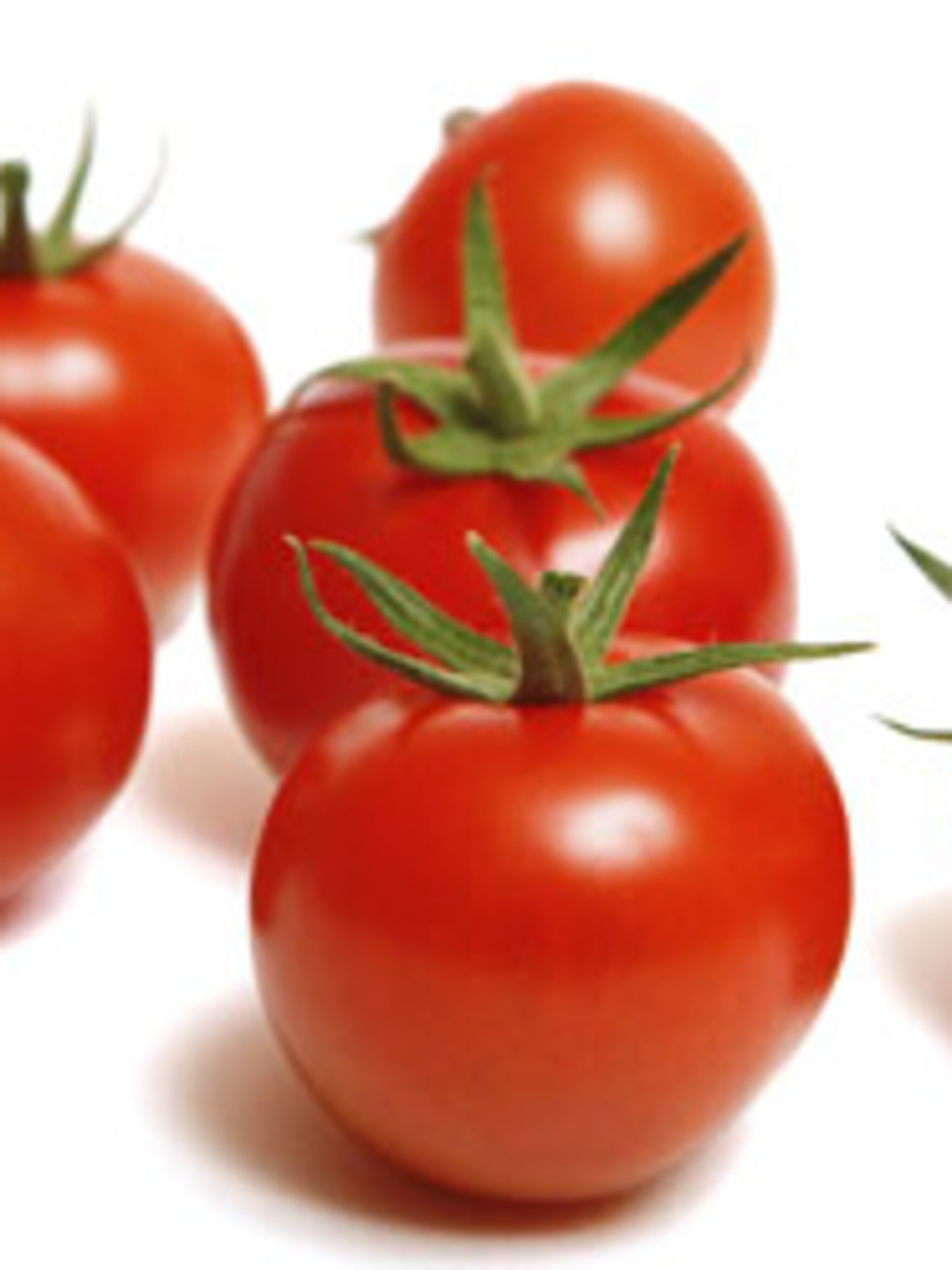 tomatenzaad winnen