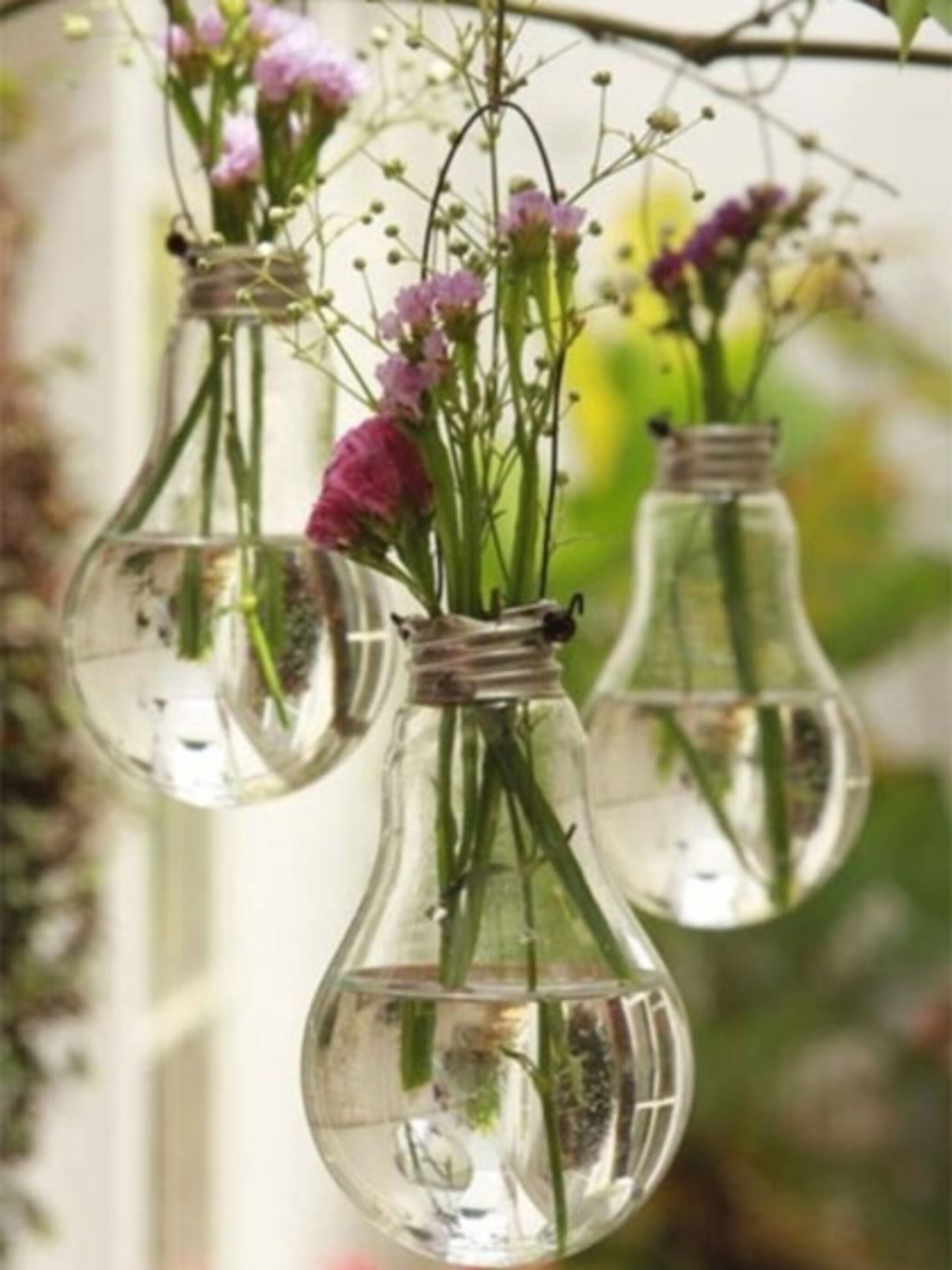 planten in een gloeilamp