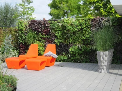 Hangplanten