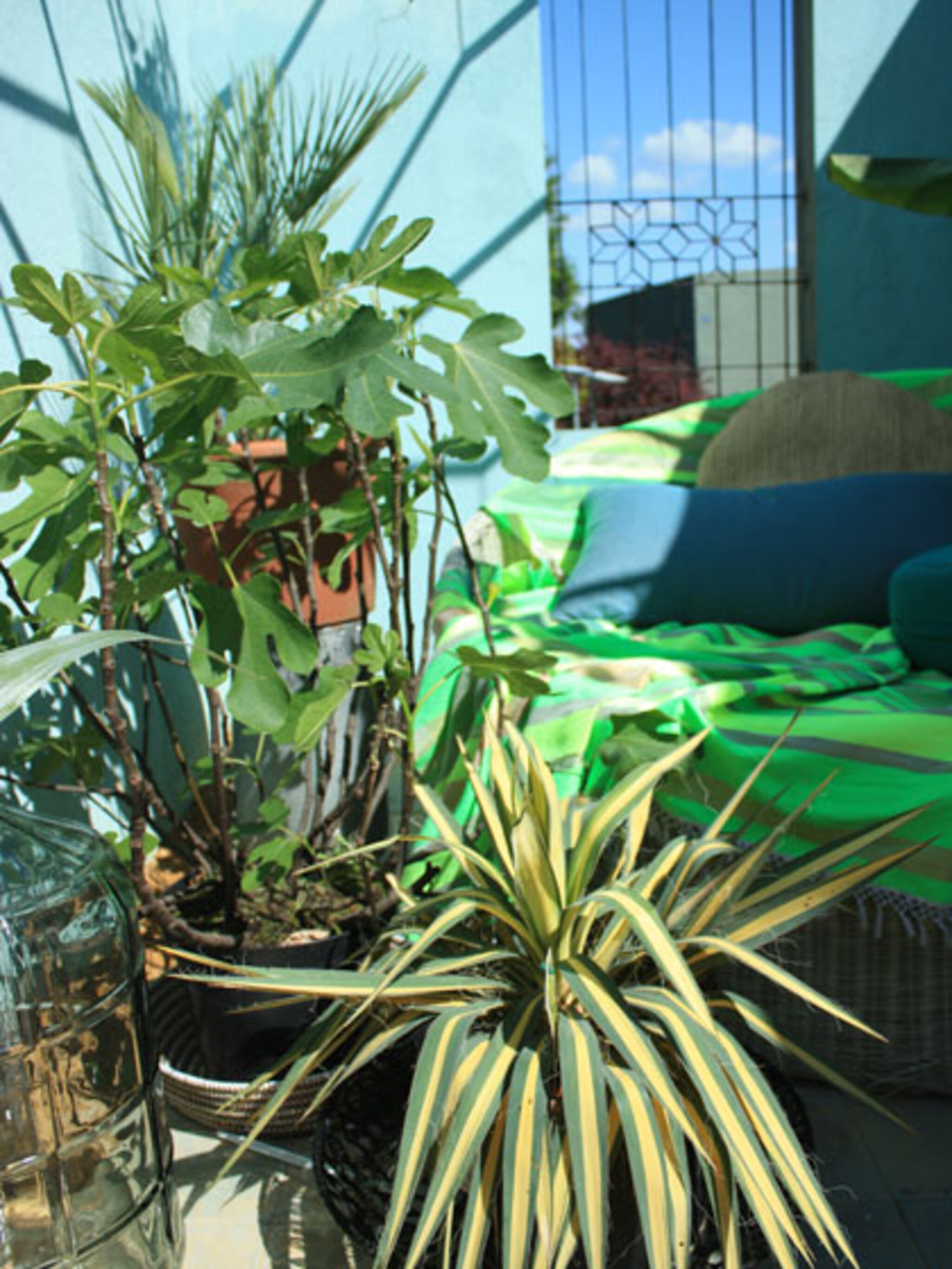 tropische tuin