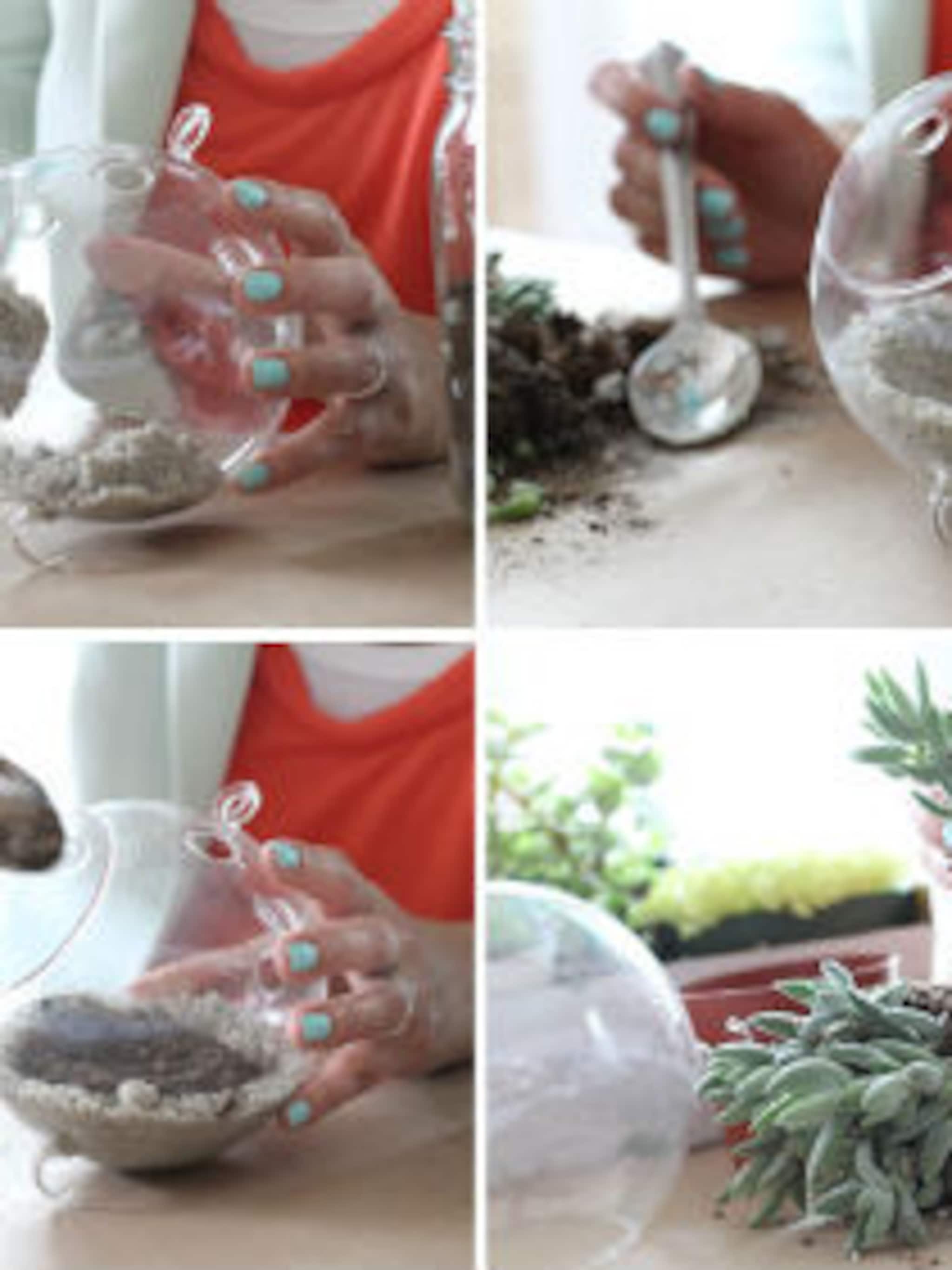 terrarium maken