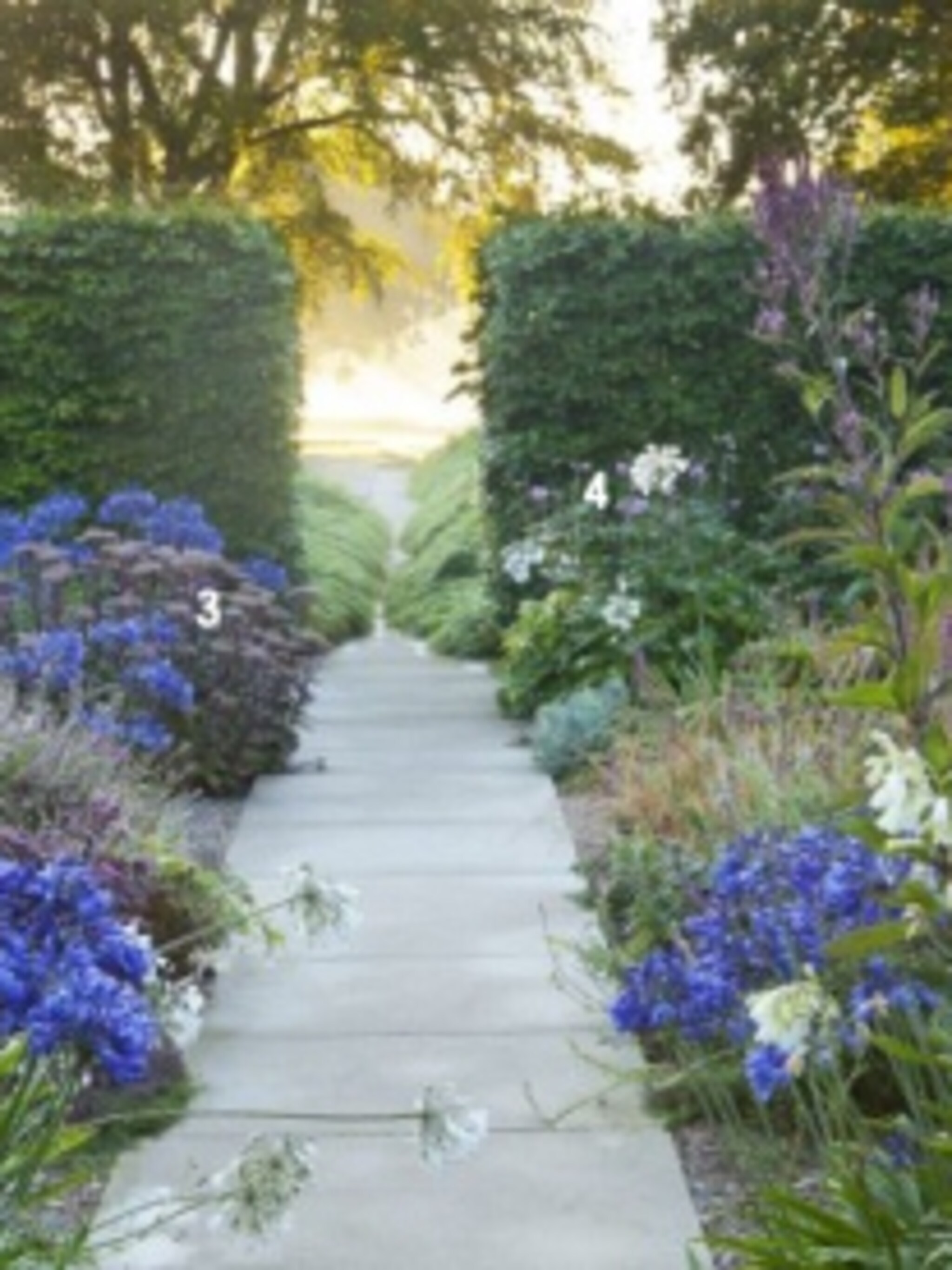 blauw witte border