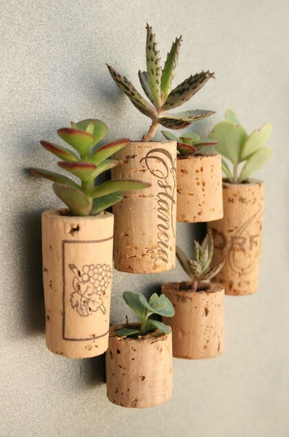 Plant in kurk