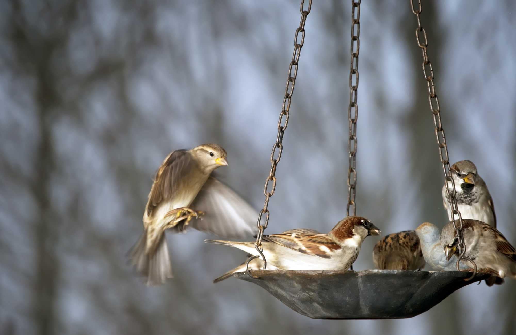 beeld vtwonen Shutterstock / rCarner