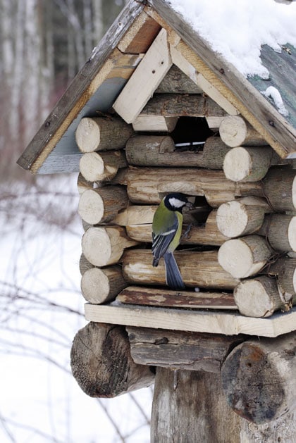 beeld vtwonen Tuin winterklaar maken