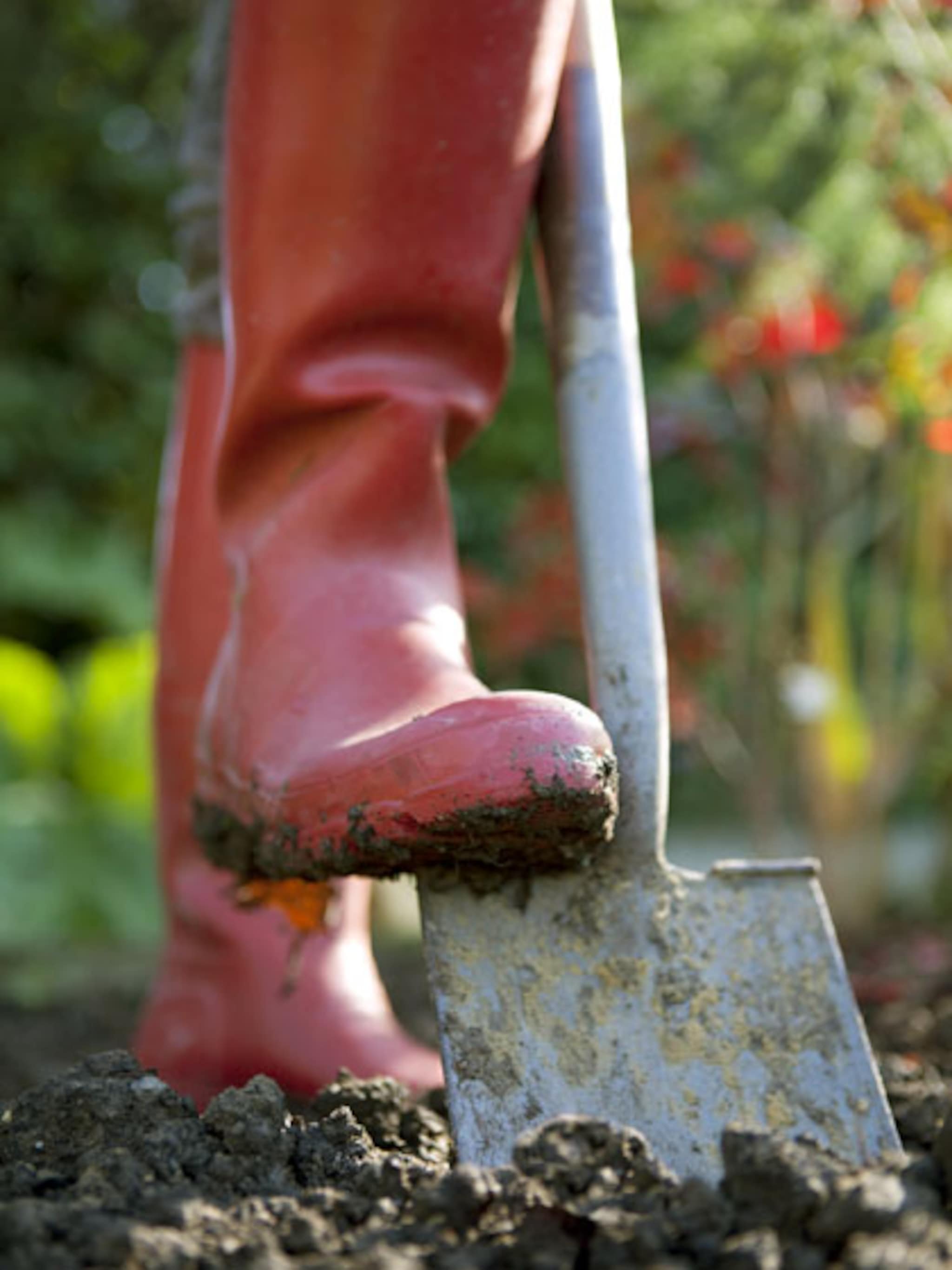 verplanten