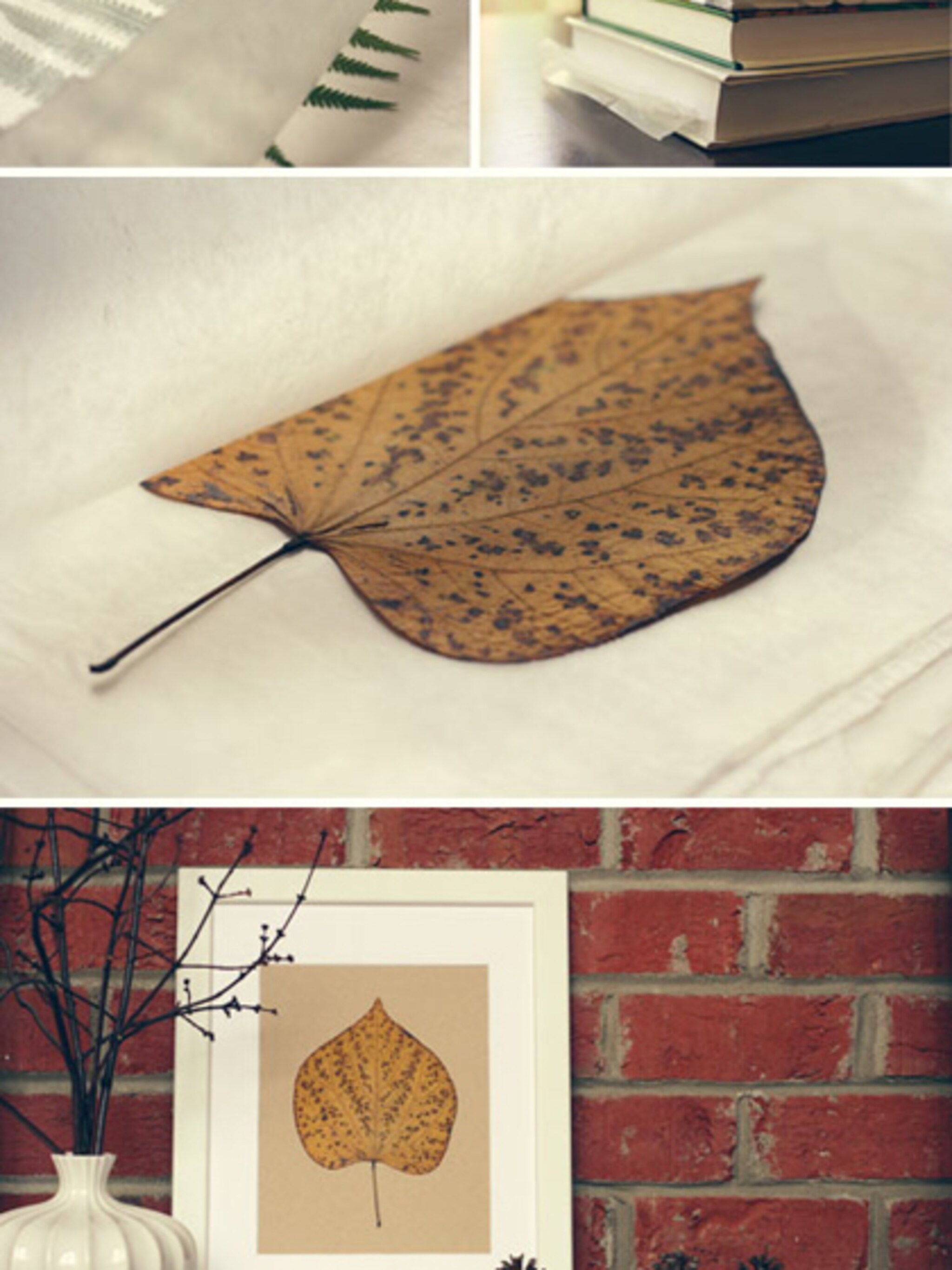 herfstbladeren