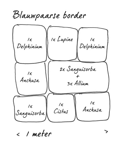 Borders blauwpaars_420
