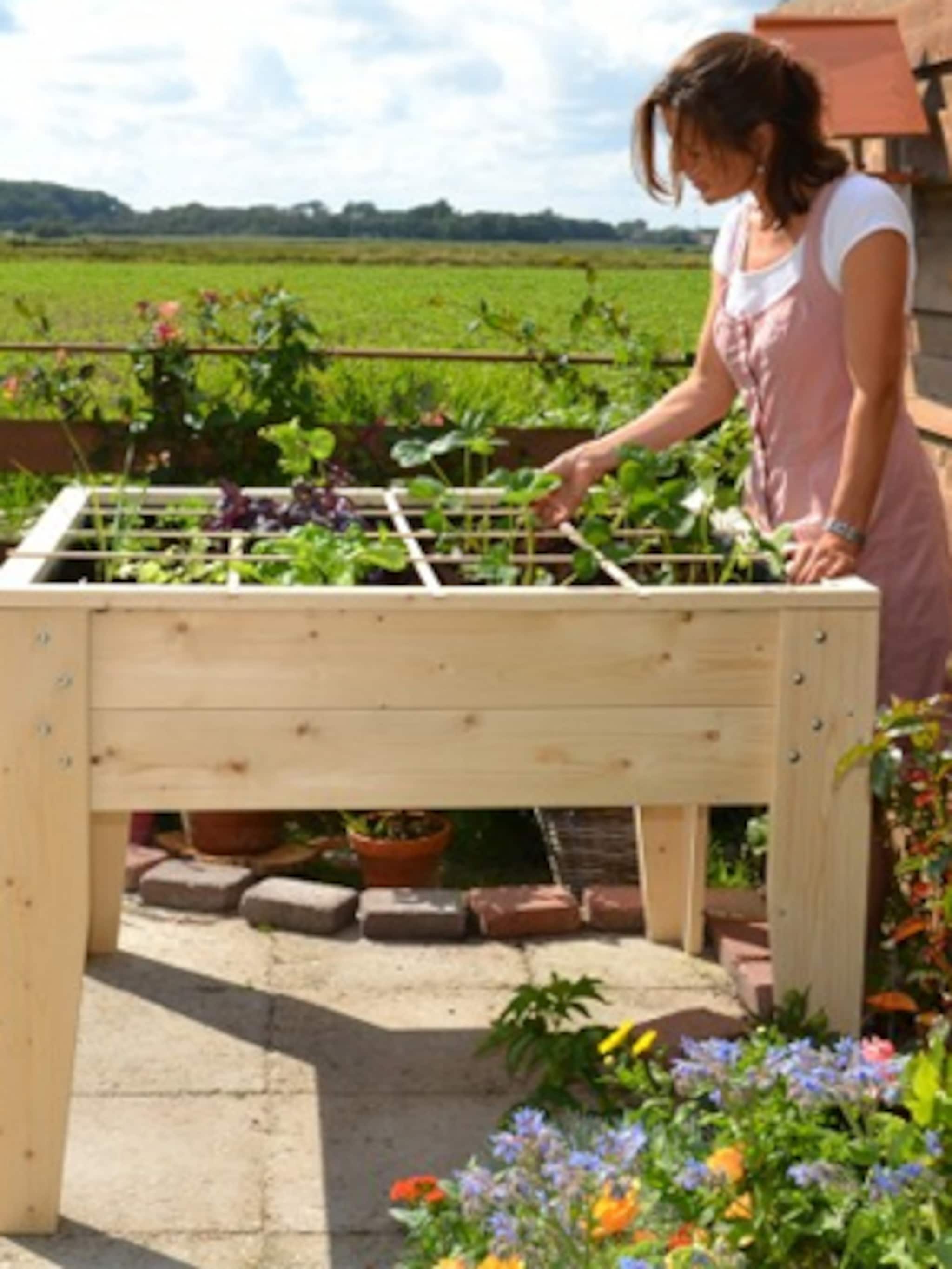 maak een moestuinbak