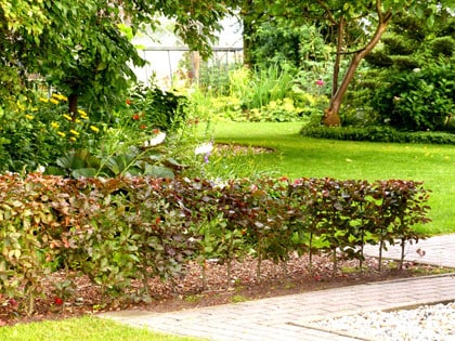 beeld vtwonen