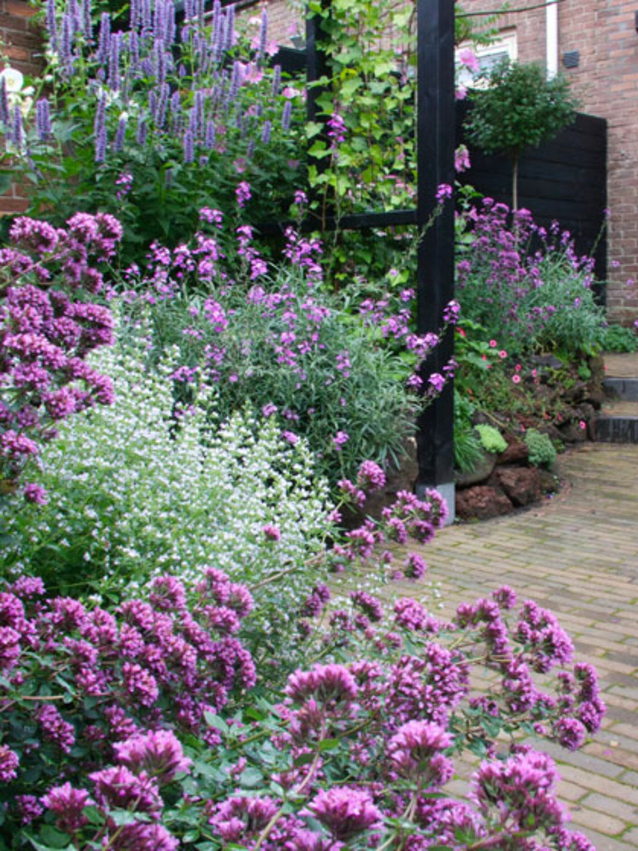 top 10 geurende planten