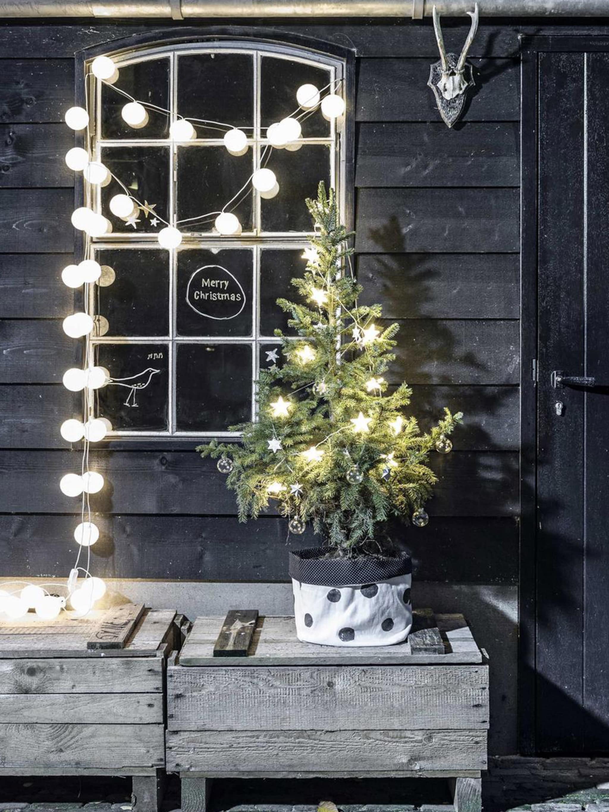 geniet extra lang van de kerstboom met deze tips