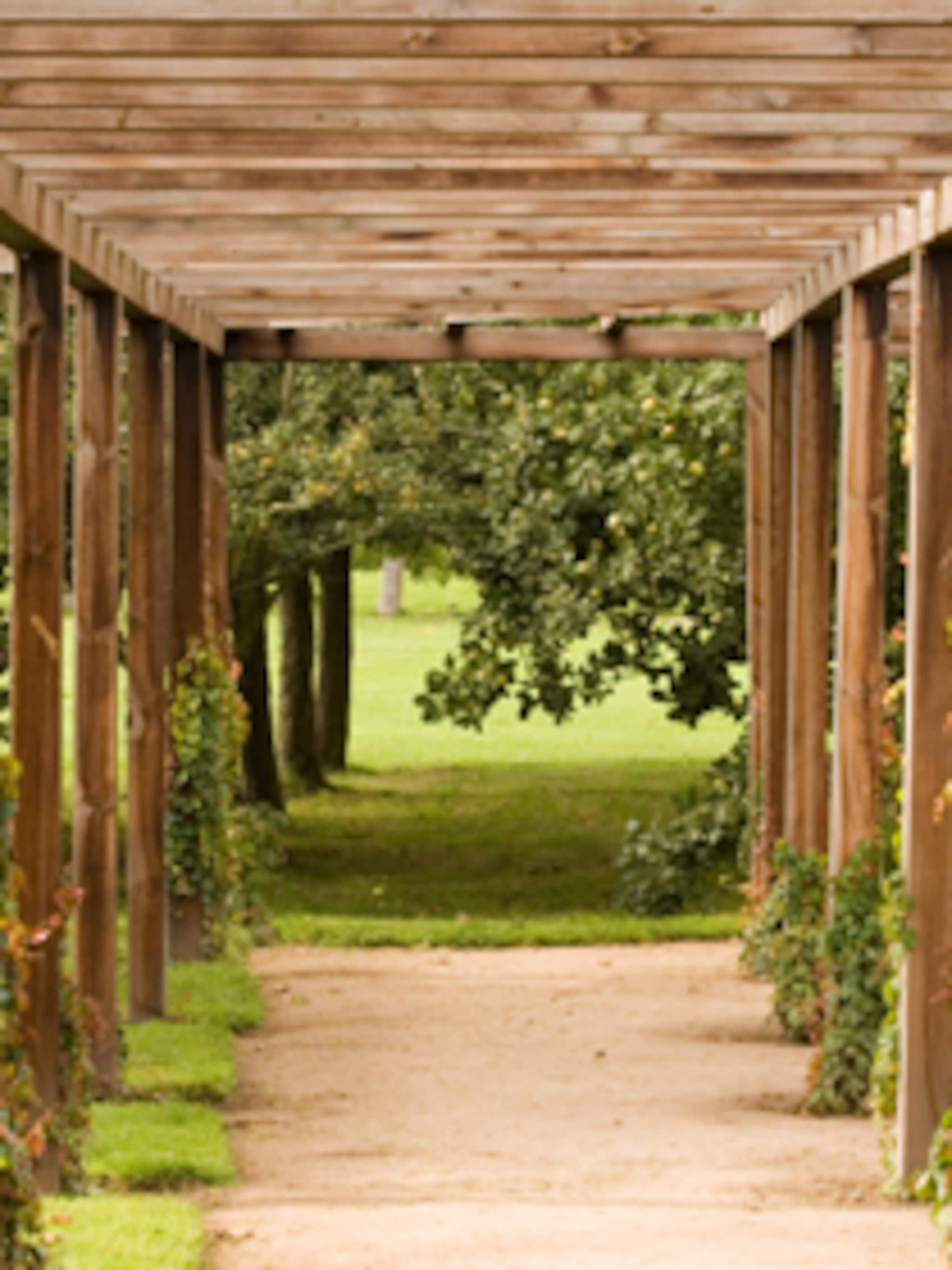 houten pergola maken