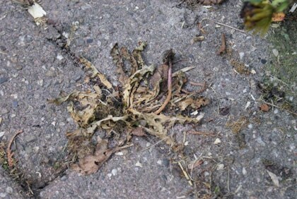 beeld vtwonen