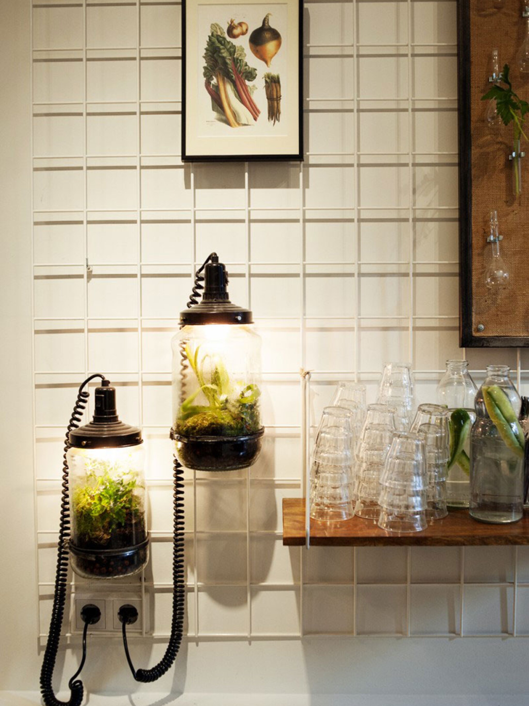 sustainable worlds plantenlamp in een glazen pot