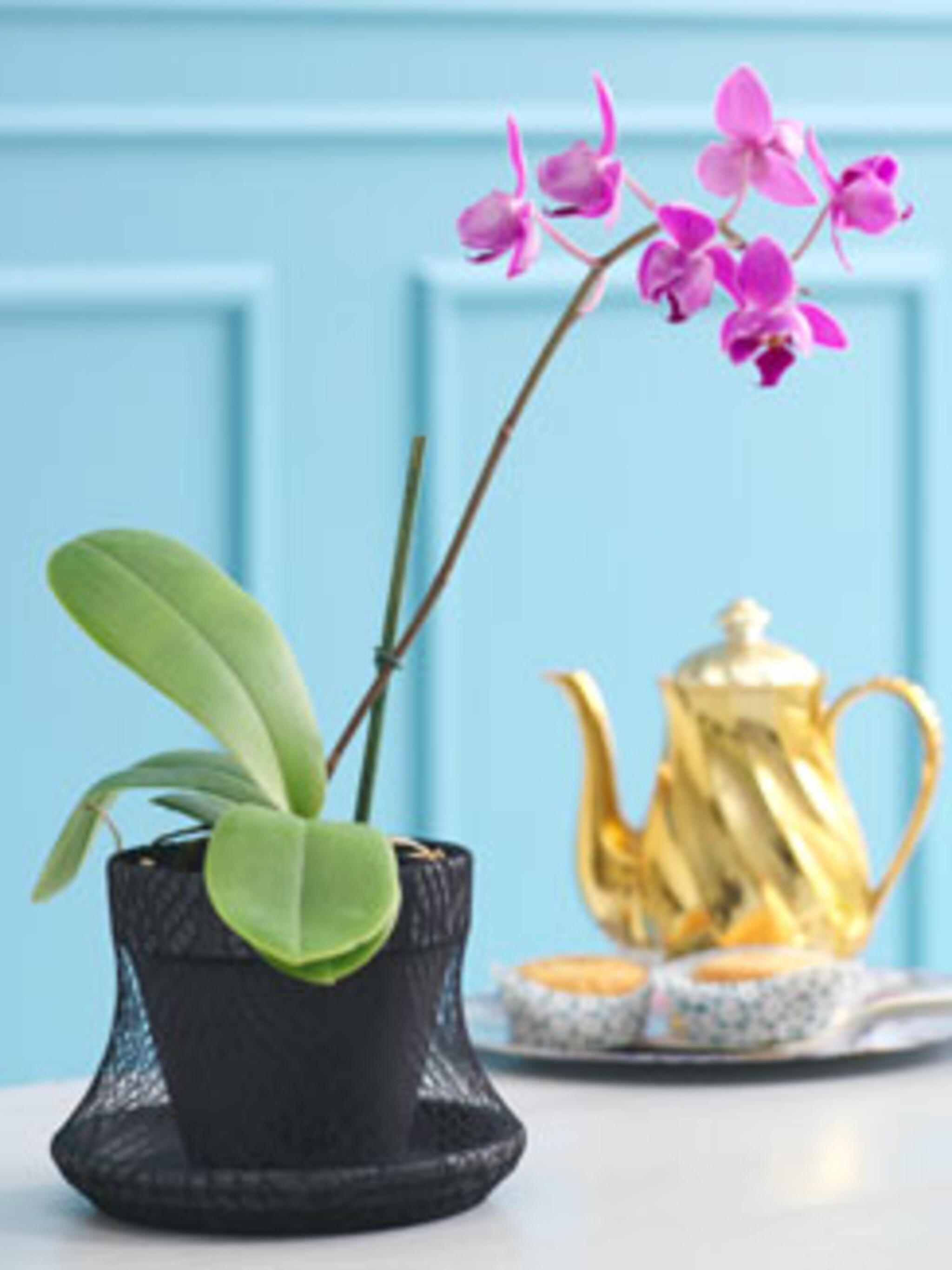 terracotta bloempot pimpen met panty