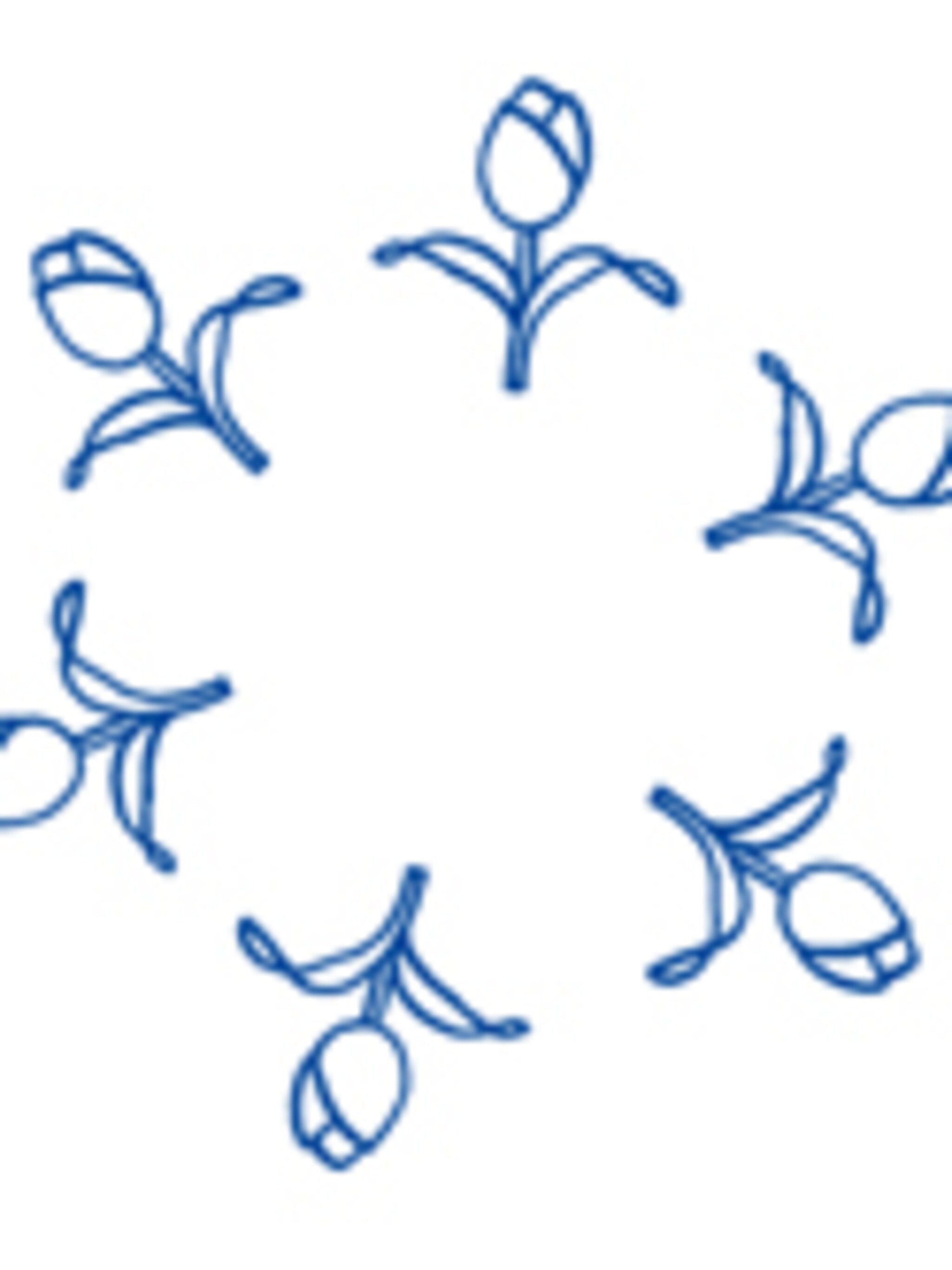 servies met hollands motief