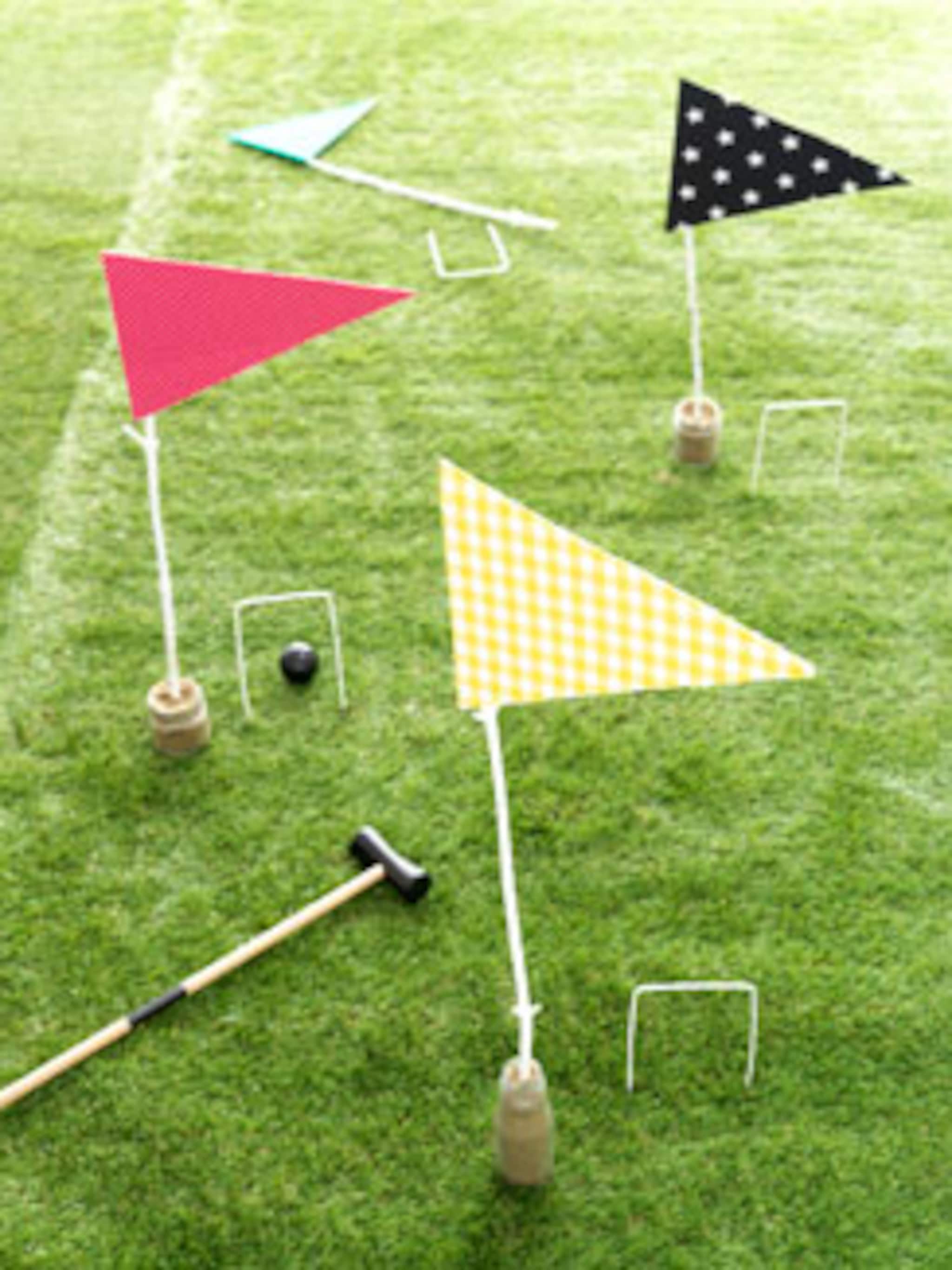 vrolijk croquetspel