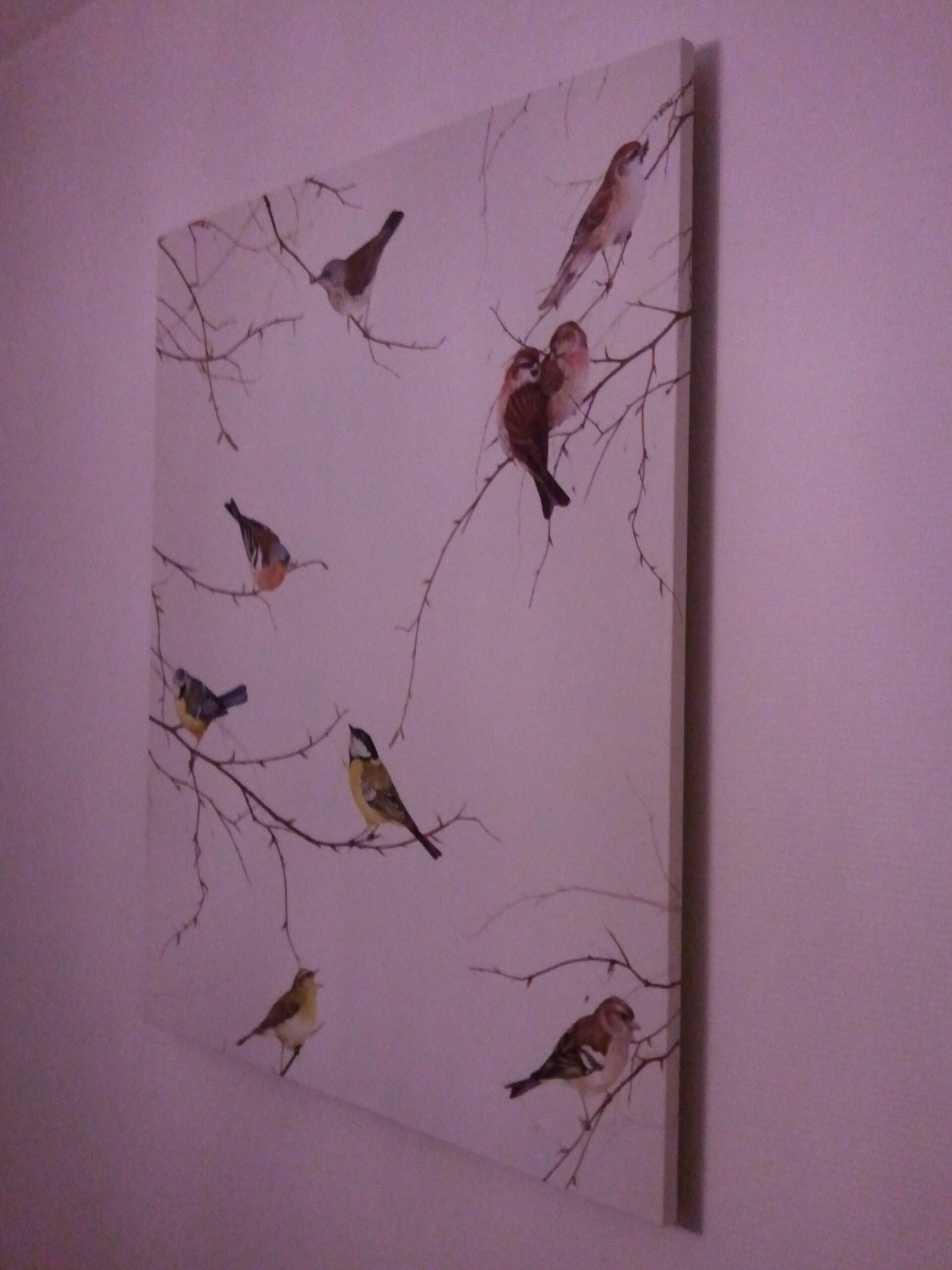 beeld vtwonen