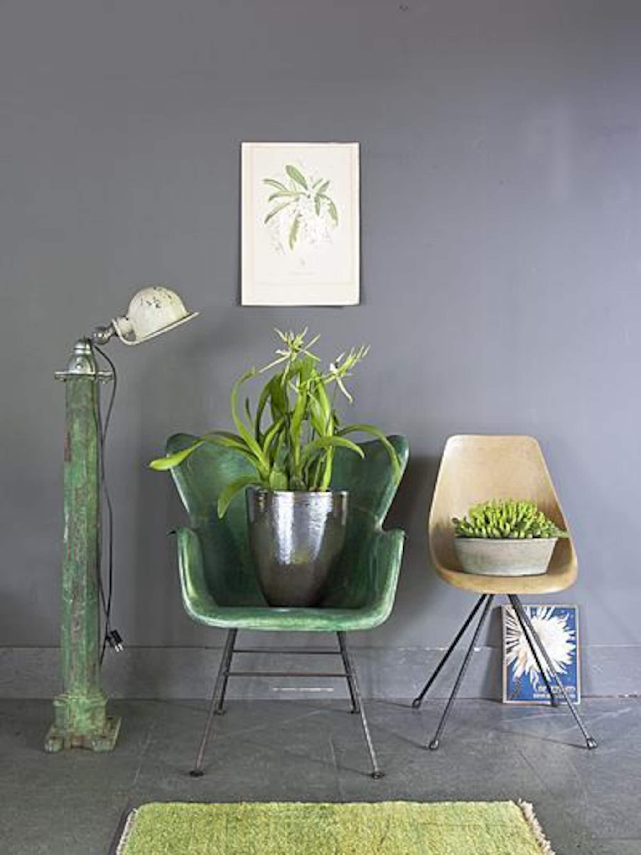 levend groen in huis