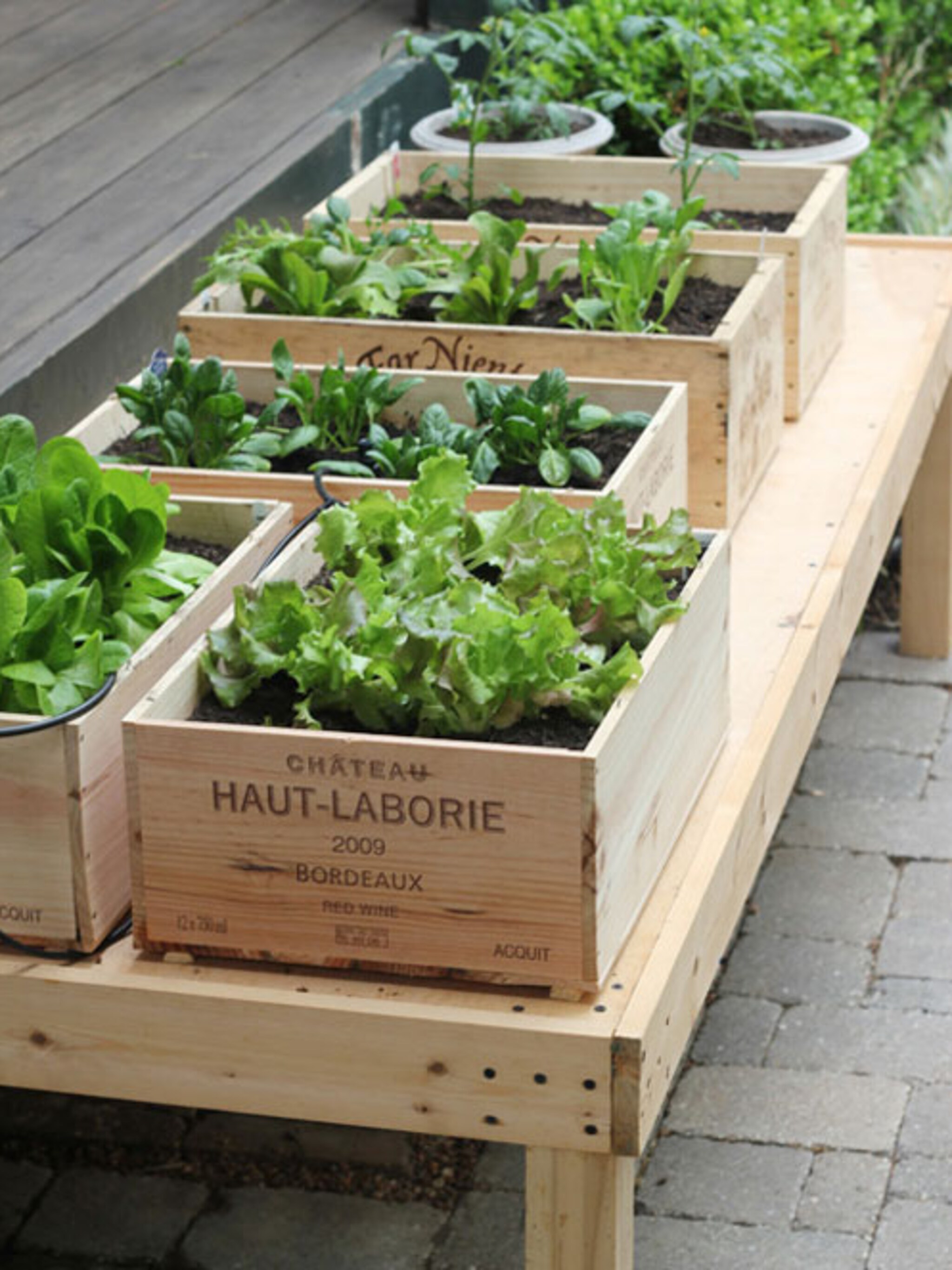 milieuvriendelijk en niet duur moestuin in wijnkist