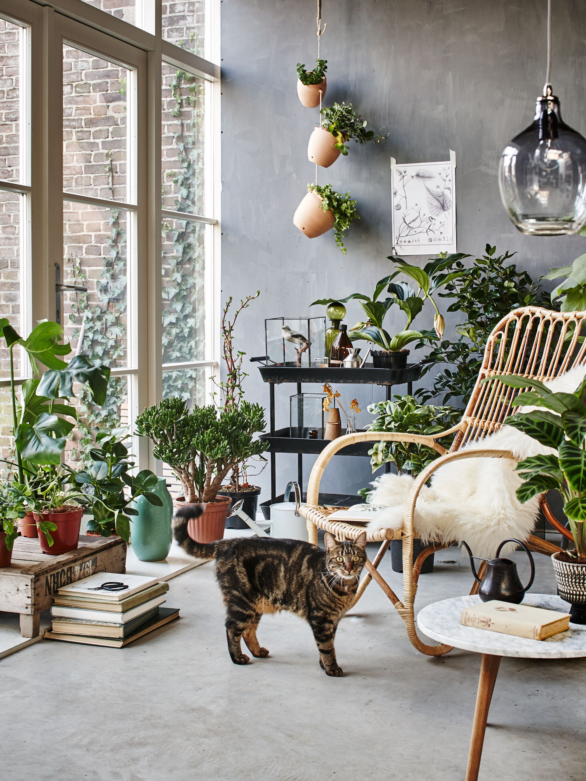 tuin en terras ideaal voor binnen en buitenpret