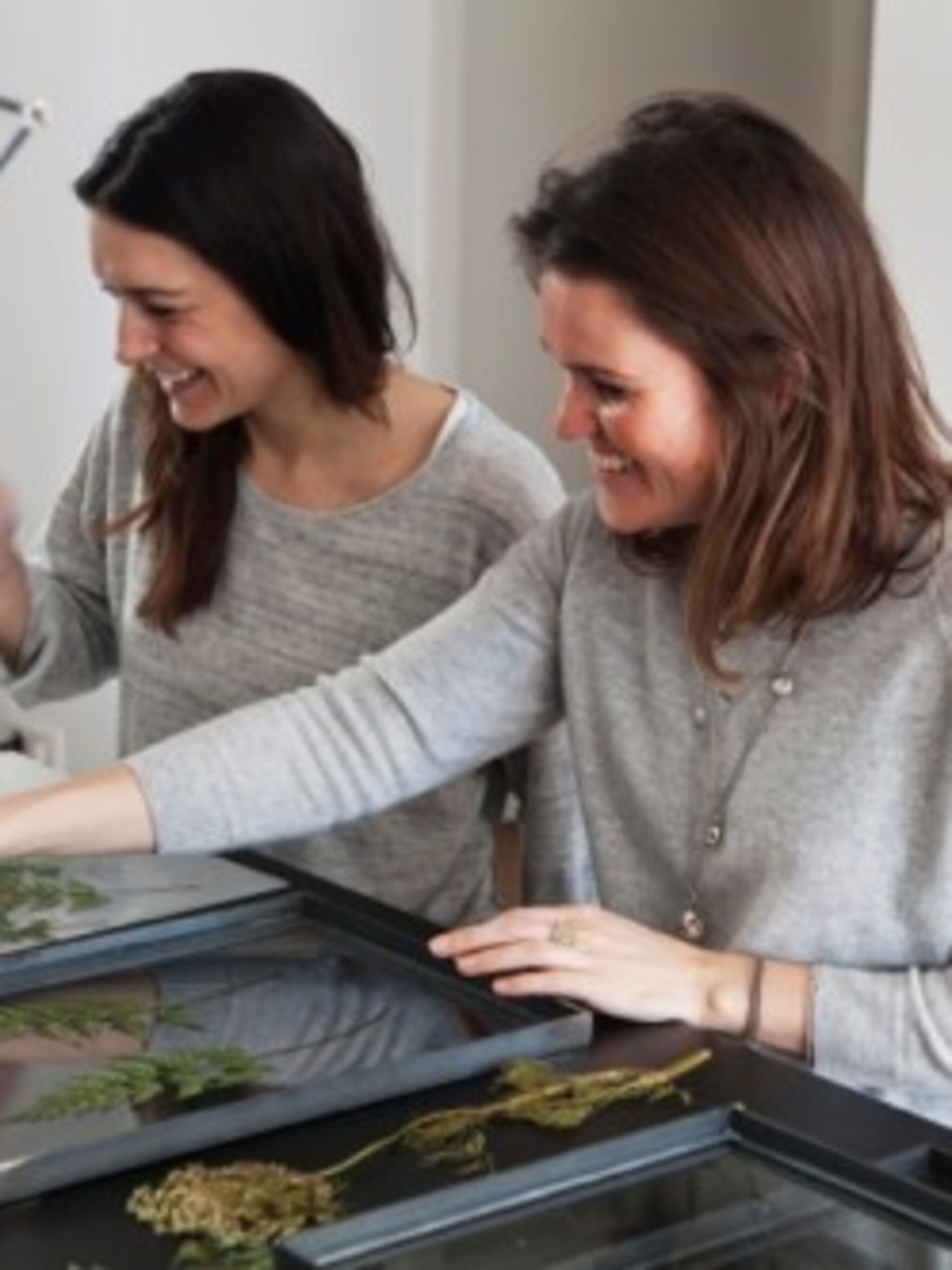 de schatkamer van lola en kate