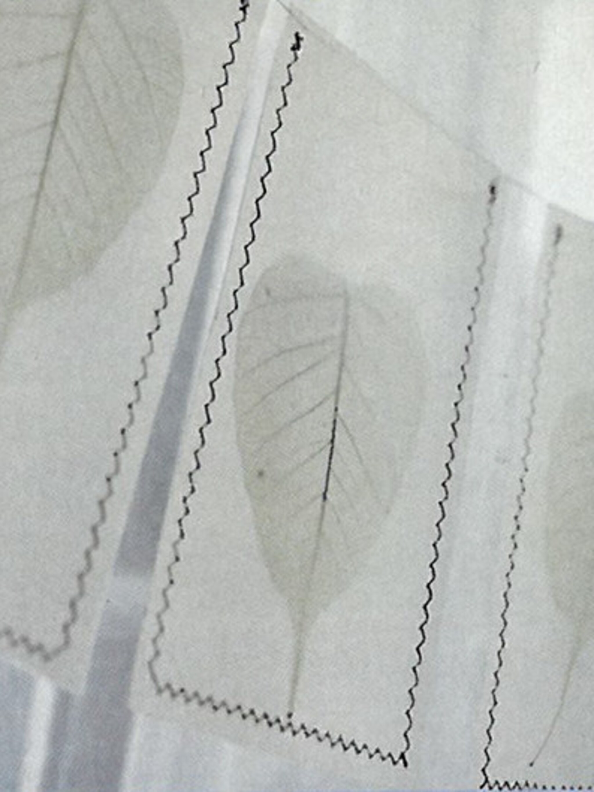 transparante vlaggetjes