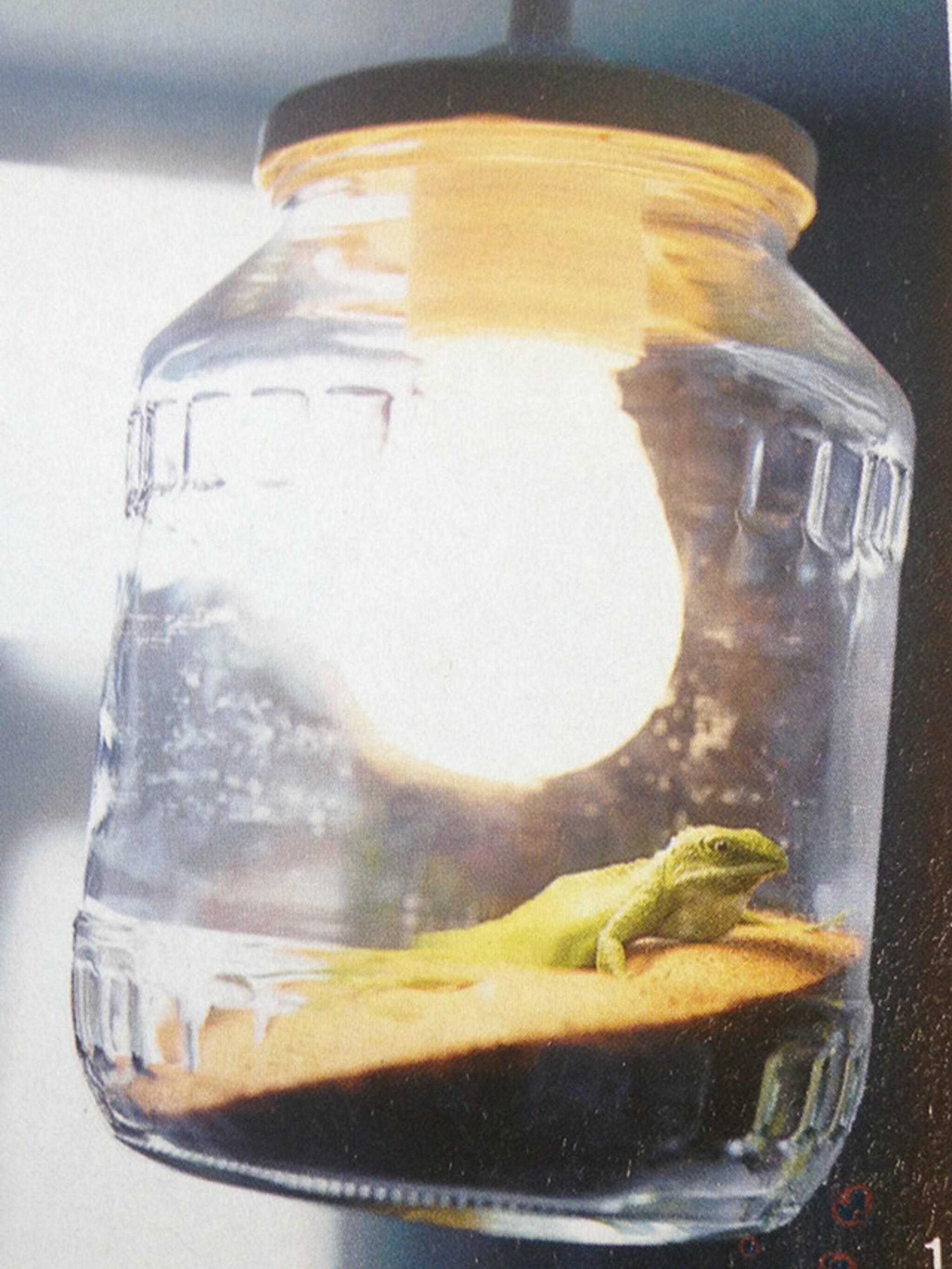 dinolamp voor in de boomhut