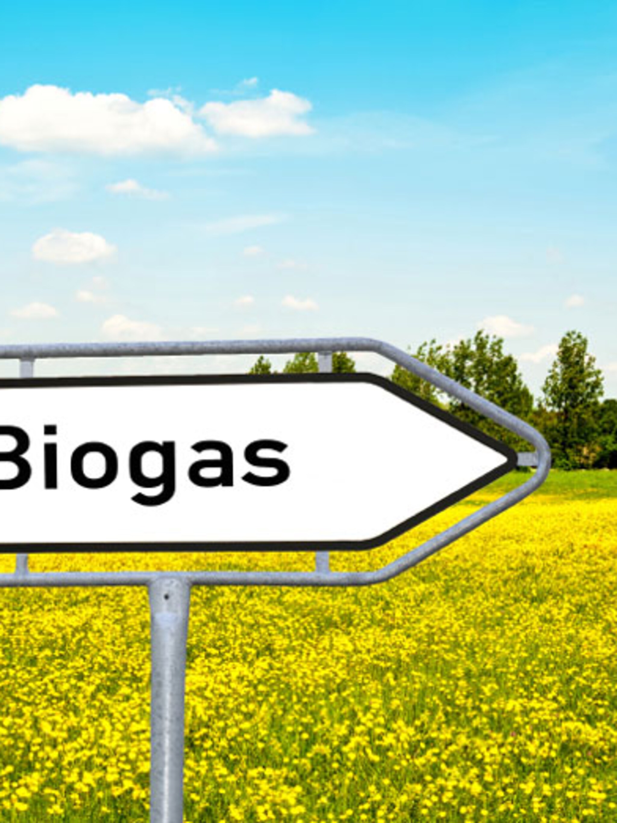 wat is bio energie