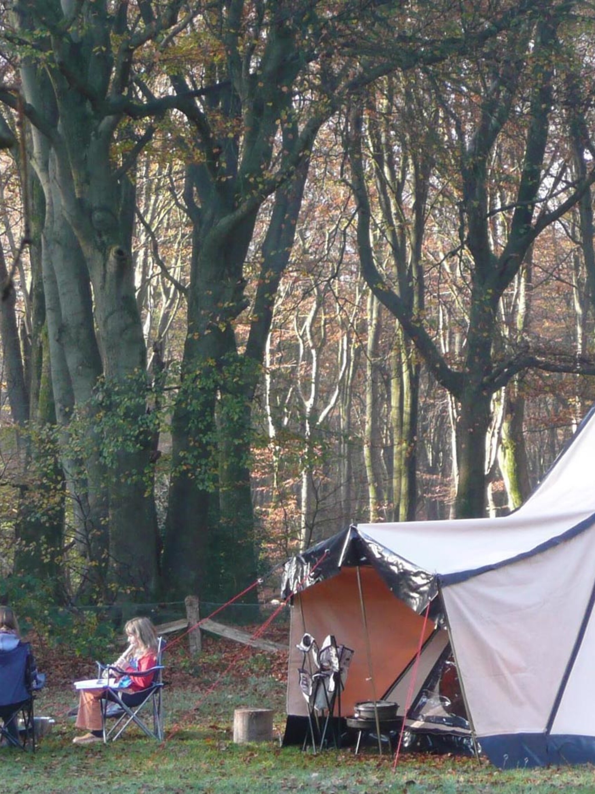 vuurwerkvrij oud en nieuw vieren