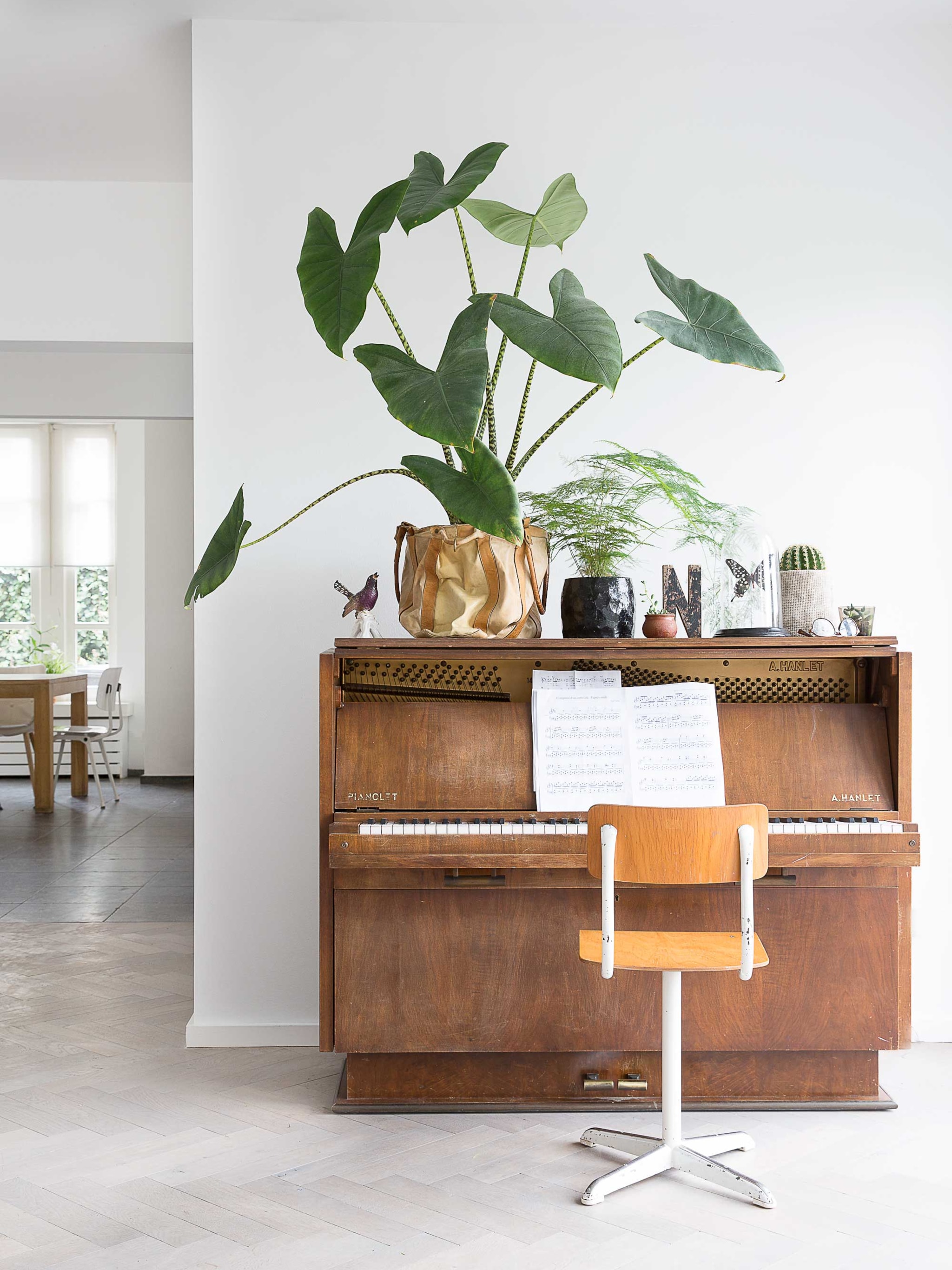botanische tas voor planten