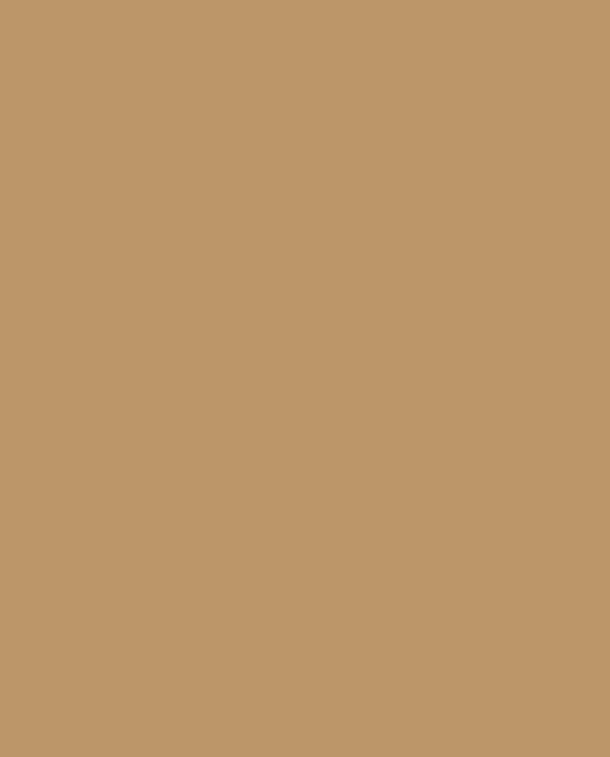 Ginger Gold kleur (kleur kan online afwijken)