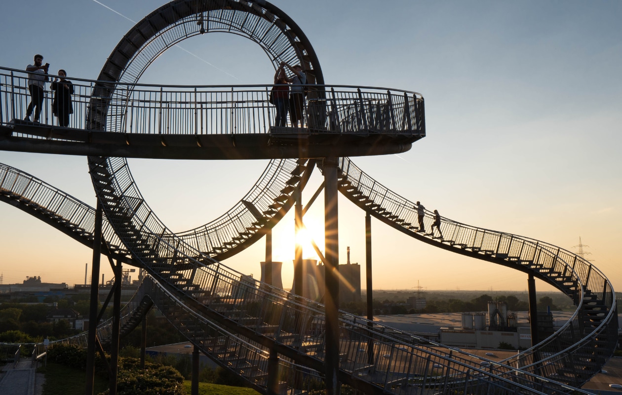 Tiger &amp; Turtle
