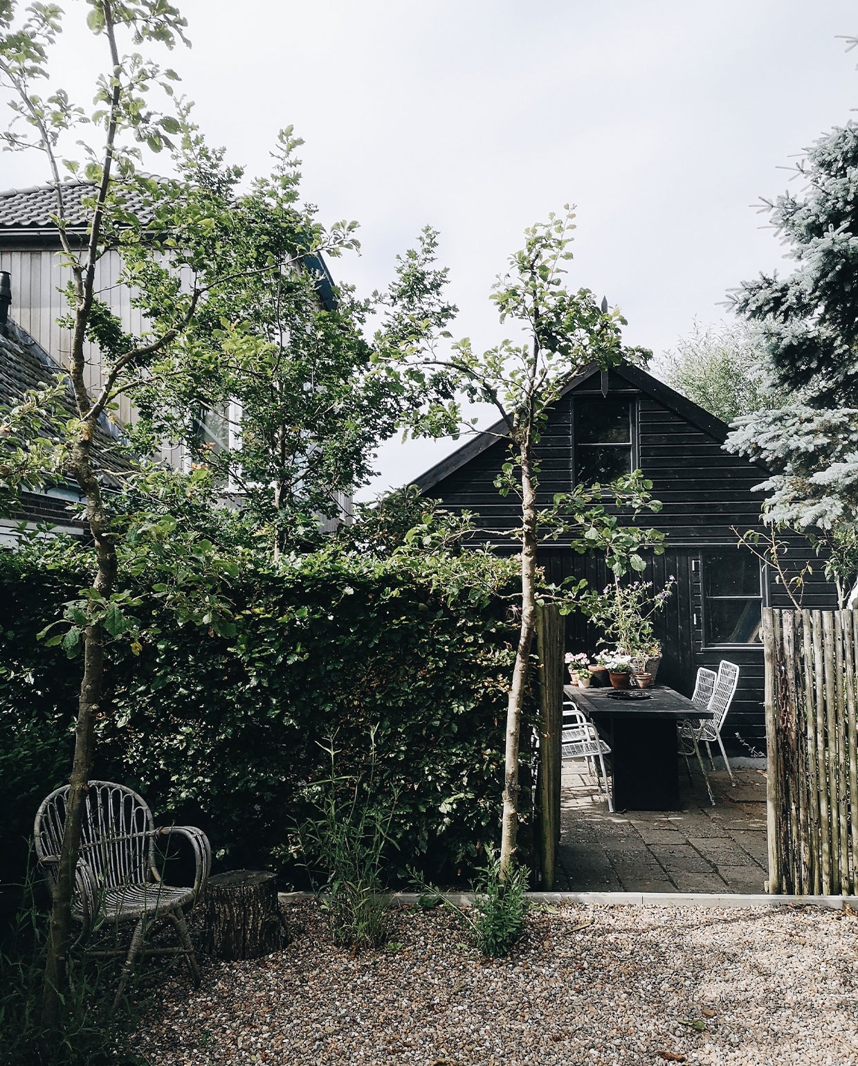 Voorzijde van het huis met pad, appelbomen, sering, rozen en een klimroos. Stoel Ikea.