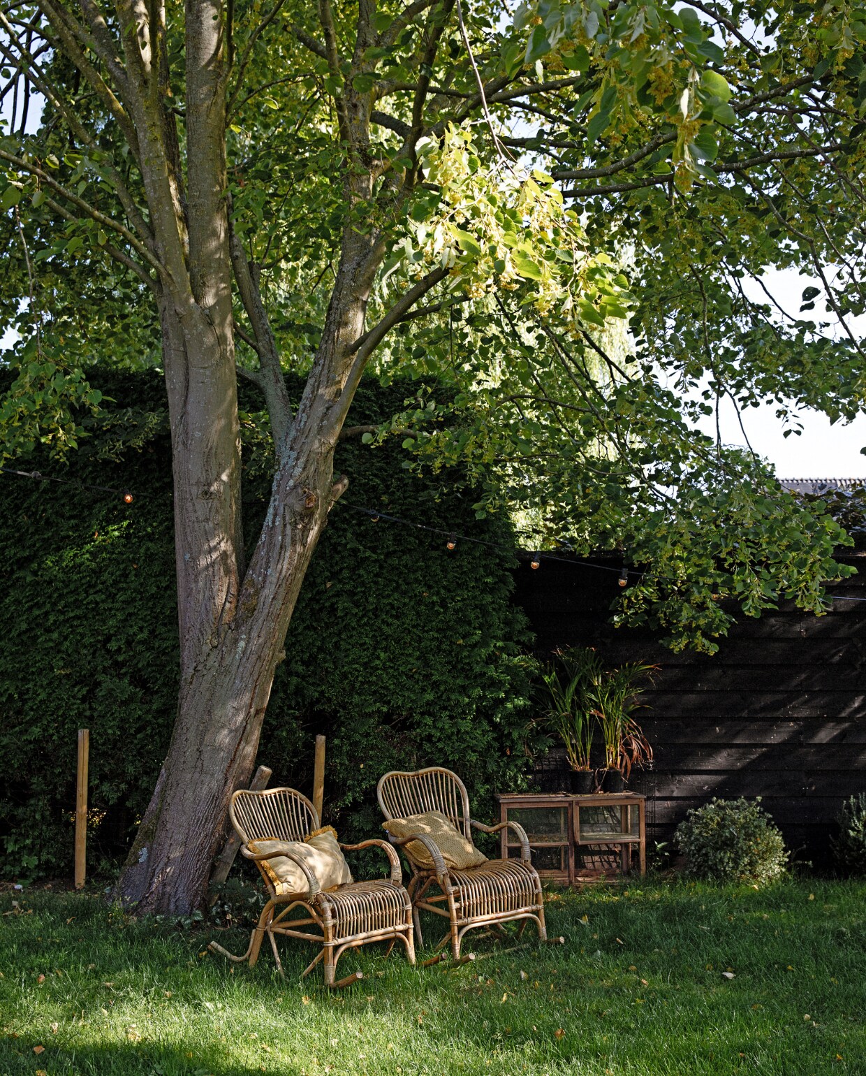 Rotan stoelen Xenos, kussens Loods 5.