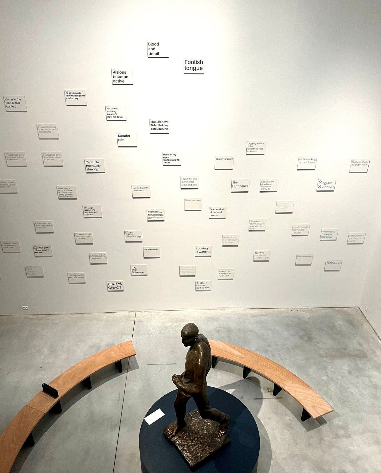 Museum M