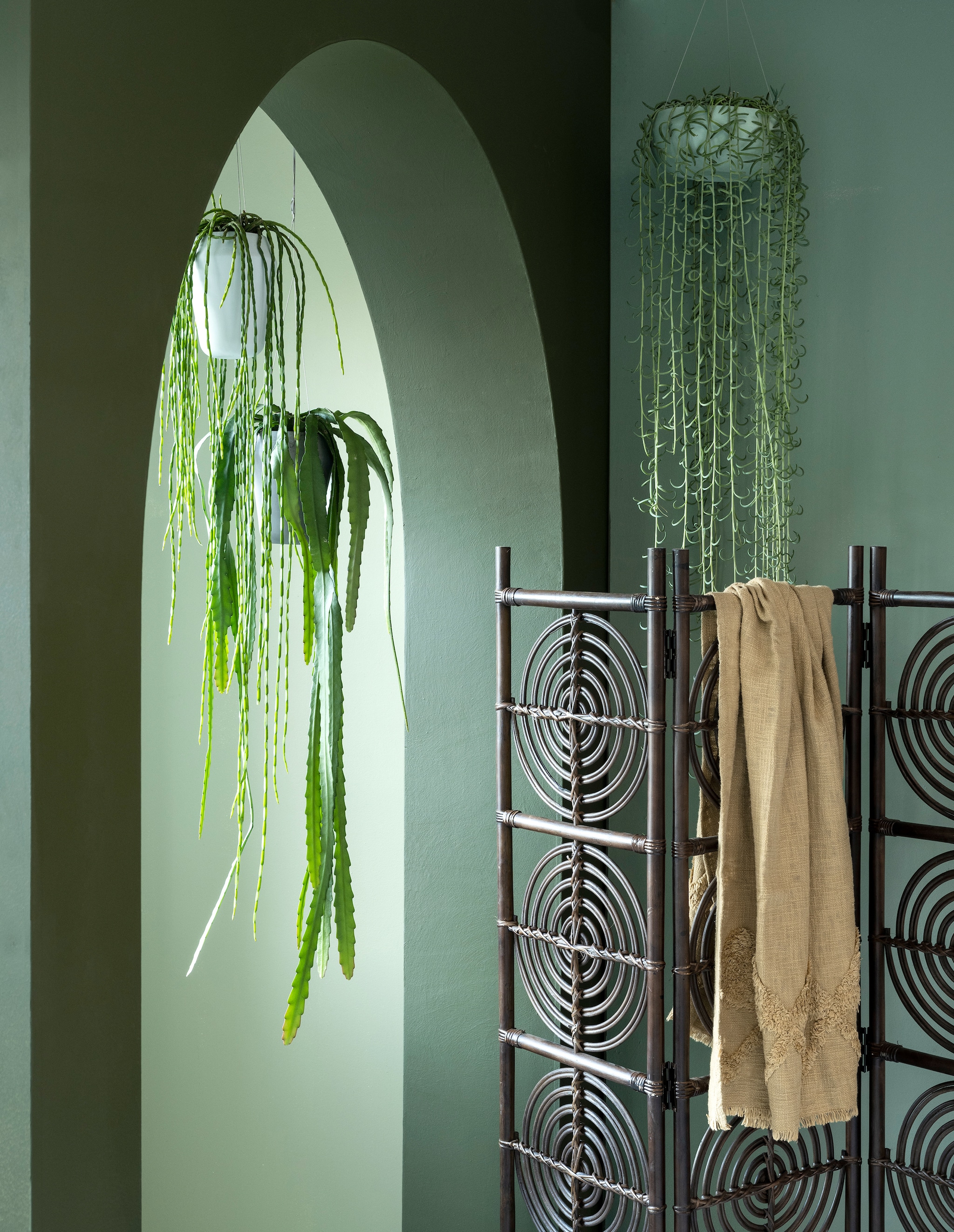 vtwonen 03 2023, groen | Plant en potten v.l.n.r.: hangplanten € 24,95, € 24,95 en € 29,95 (bydennis.nl). Porseleinen potten, vanaf € 45,- (harmenelke.nl). Lichtgroene muurverf nr. 62, donkergroene muurverf nr. 76 van Lab Paint, 1 liter € 48,- (vestingh.nl). Kamerscherm € 249,- (zuiver.com). Plaid van Urban Nature Culture € 59,99 (vtwonen.be). vtwonen 03 2023 | styling Marianne Luning | fotografie Stan Koolen
