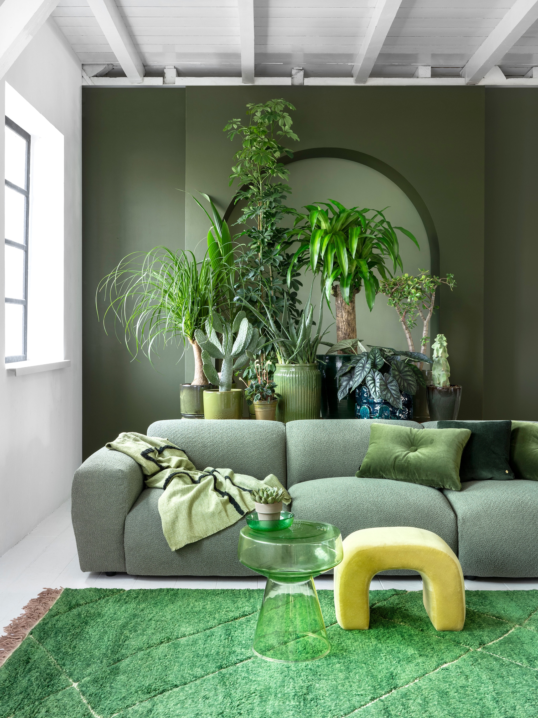 weinig licht deze planten overleven in het donker