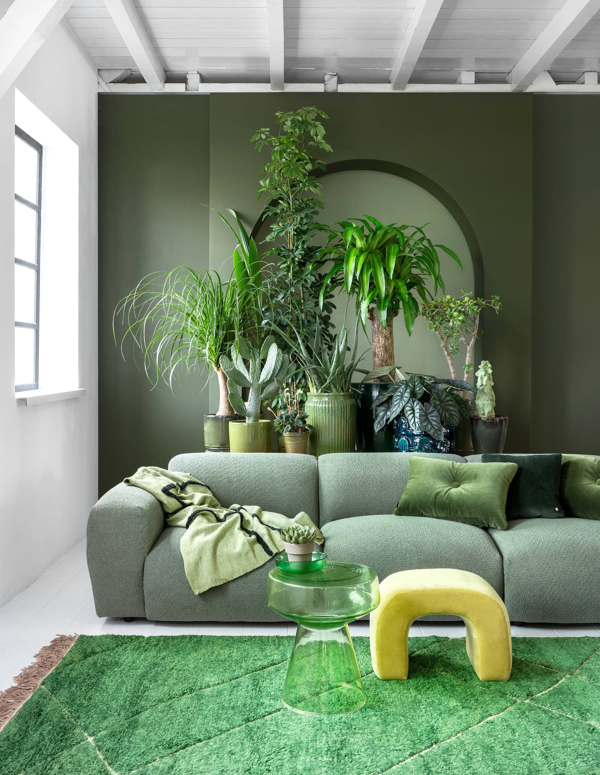 vtwonen 03 2023, groen | Plant en potten v.l.n.r.: plant Beaucarnea € 59,95, pot € 34,95, kokospalm € 14,95, pot € 24,95, cactus € 75,-, pot € 39,95, plant Peperomia € 6,95 , pot € 9,95, plant Schefflera € 100,-, pot € 39,95, plant Aloë Vera € 59,95, pot € 39,95, plant Dracena € 150,- (bydennis.nl), pot € 201,- (loods5.nl), plant Alocasia € 50,- (bydennis.nl), pot € 159,- (loods5.nl), plant Crassula € 75,-, pot € 34,95, cactusplant € 69,95, pot € 39,95 (bydennis.nl). Op bijzettafel: plant € 6,95, pot € 5,95 (bydennis.nl). Donkergroene muurverf nr.76, lichtgroene muurverf in de boog nr. 41 van Lab Paint, per liter € 48,- (vestingh.nl). Bank Cosy, 295x97x70 cm (bxdxh) € 3238,-, ribfluwelen kussen € 79,- (loods5). Vloerkleed van HKliving, 280x180 cm € 1295,-, glazen bijzettafel van HKliving € 229,-, plaid van HKliving € 74,95, glazen kom van HKliving € 5,99, velours kussen van Hay € 95,- (vtwonen.nl). Gele fluwelen kruk € 249,- (urbannatureculture.com). vtwonen 03 2023 | styling Marianne Luning | fotografie Stan Koolen