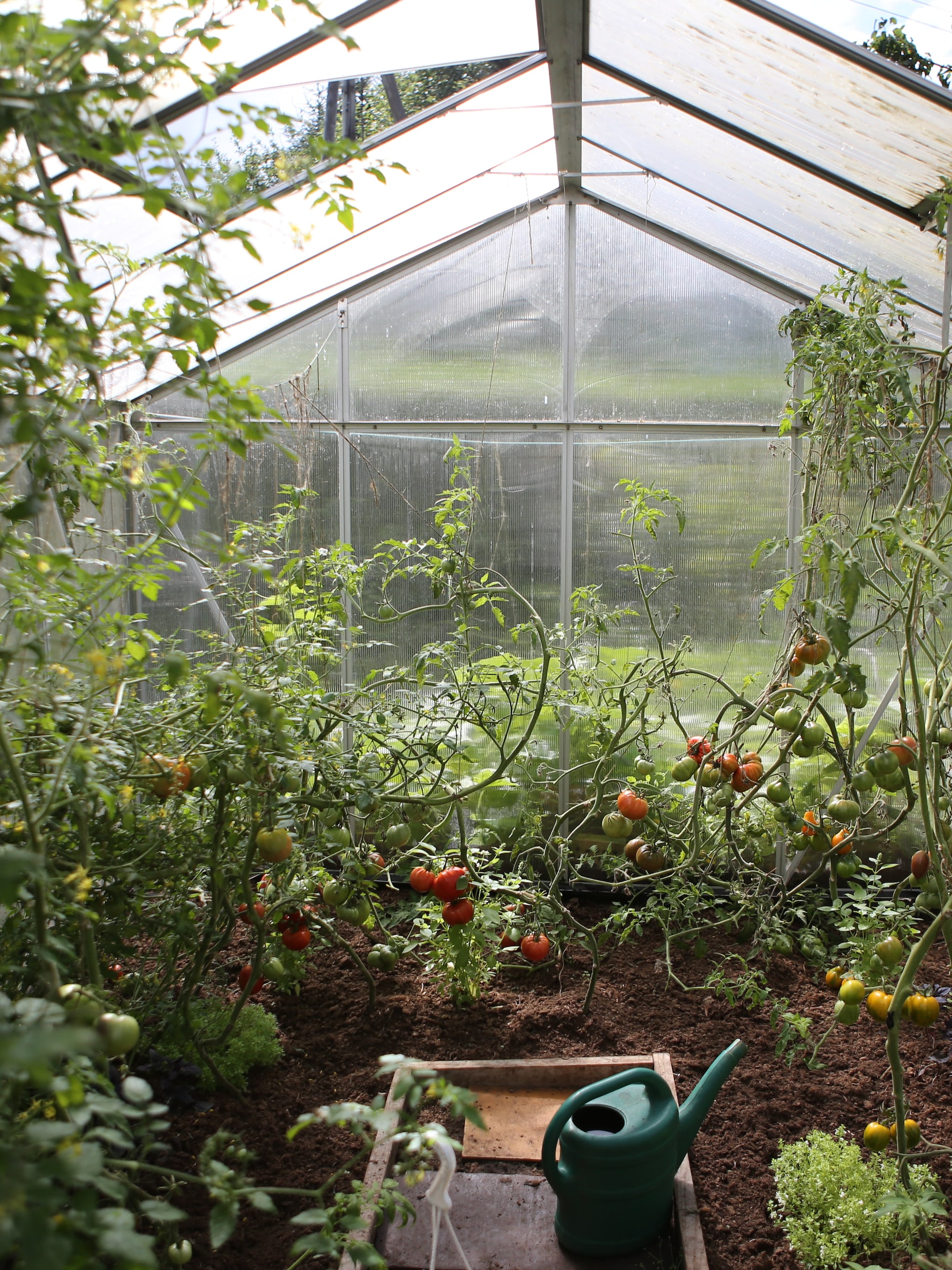 leuk uitje voor natuurliefhebbers de moestuinbeurs in beesd