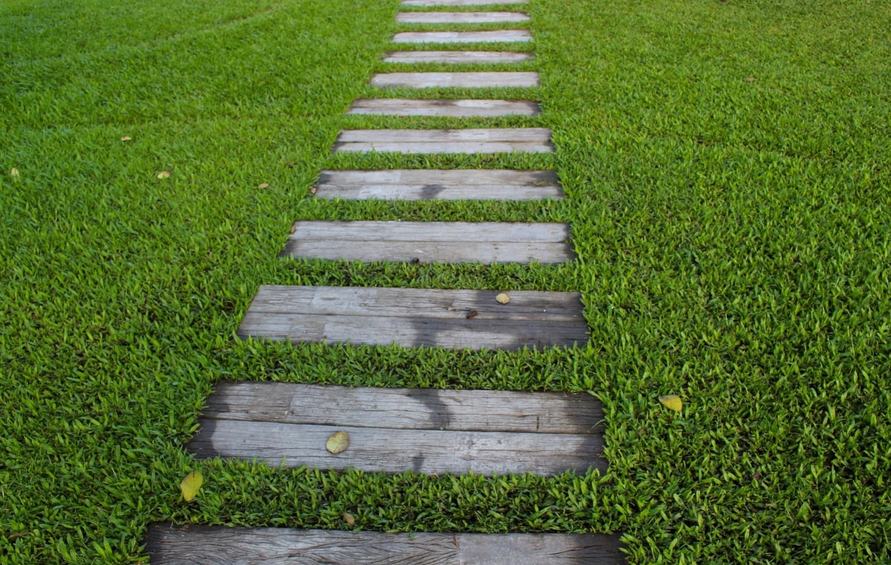 gazon gezond door bemesten gras Pixabay