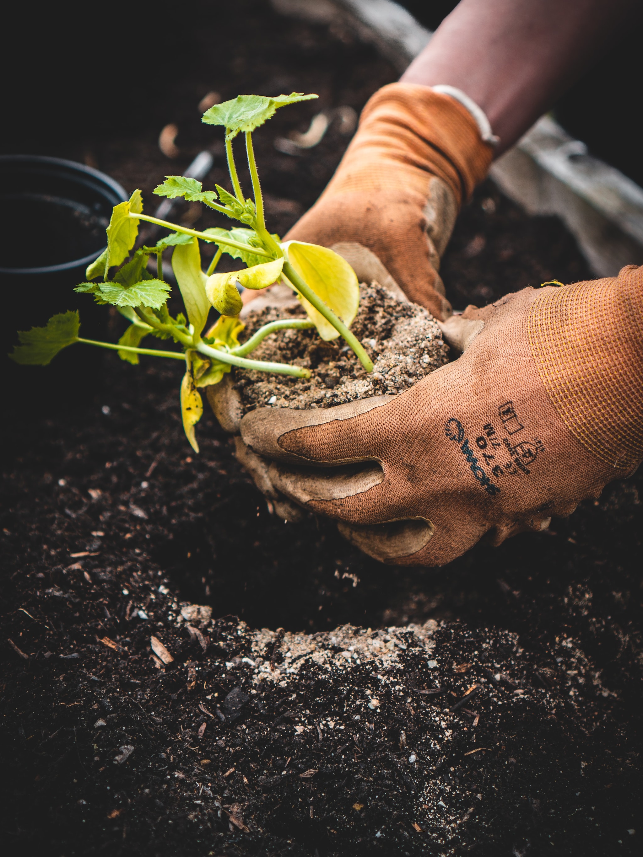 tuinkalender-maart-trap-het-tuinseizoen-goed-af-met-deze-klussen-voor-in-de-tuin-in-maart