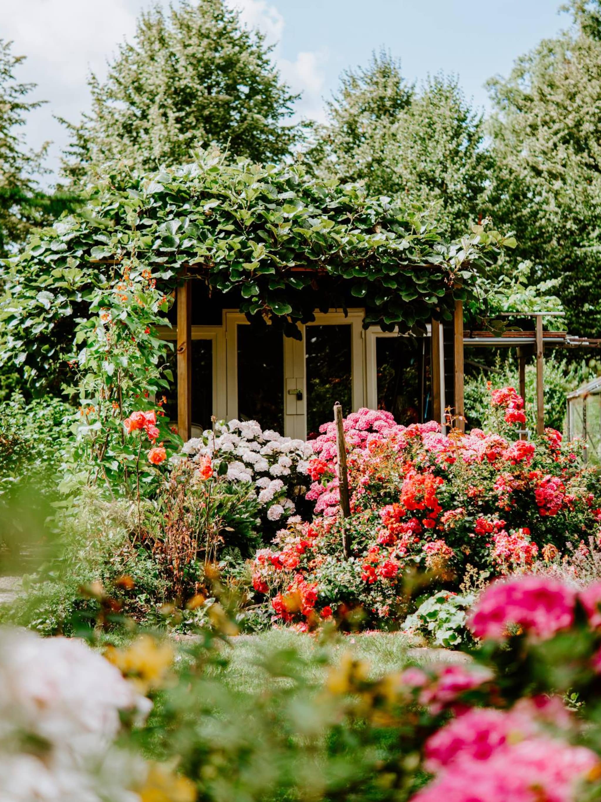 op-kleur-gesorteerd-de-fleurigste-buitenplanten-voor-in-de-volle-zon