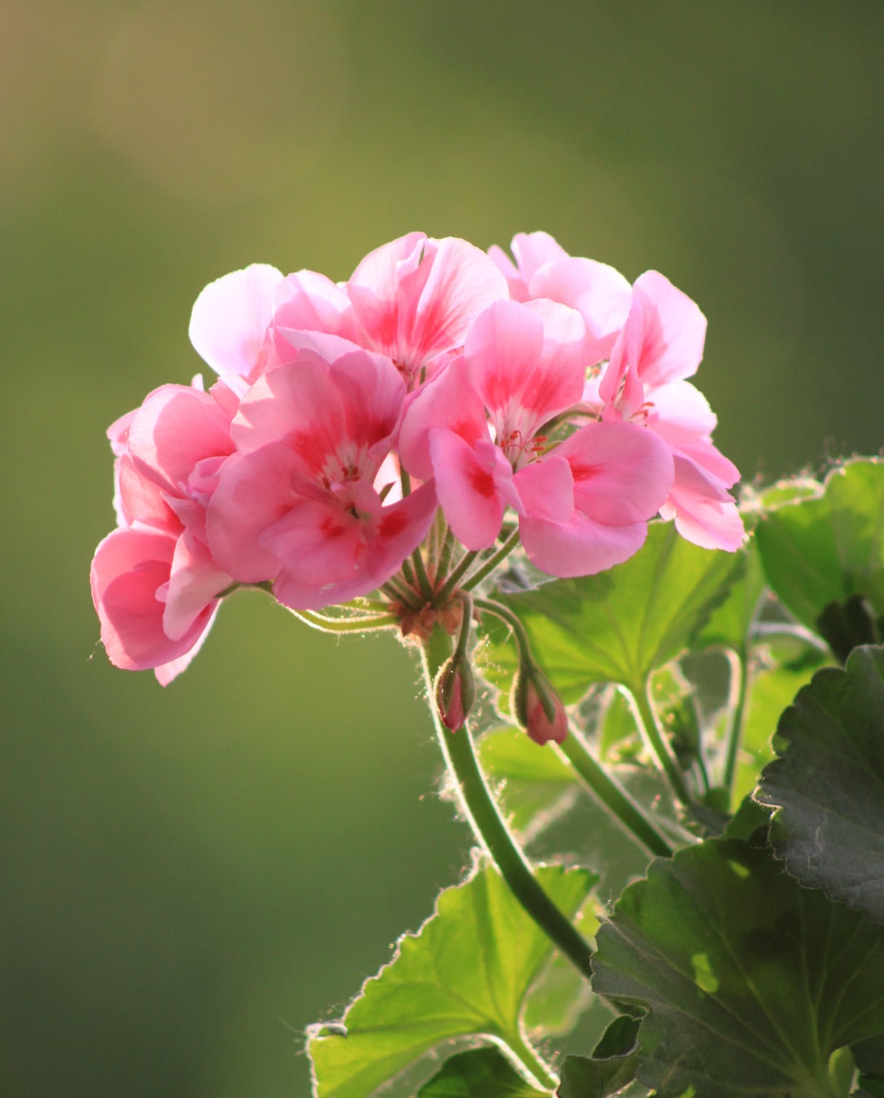 Beeld: Canva Canva