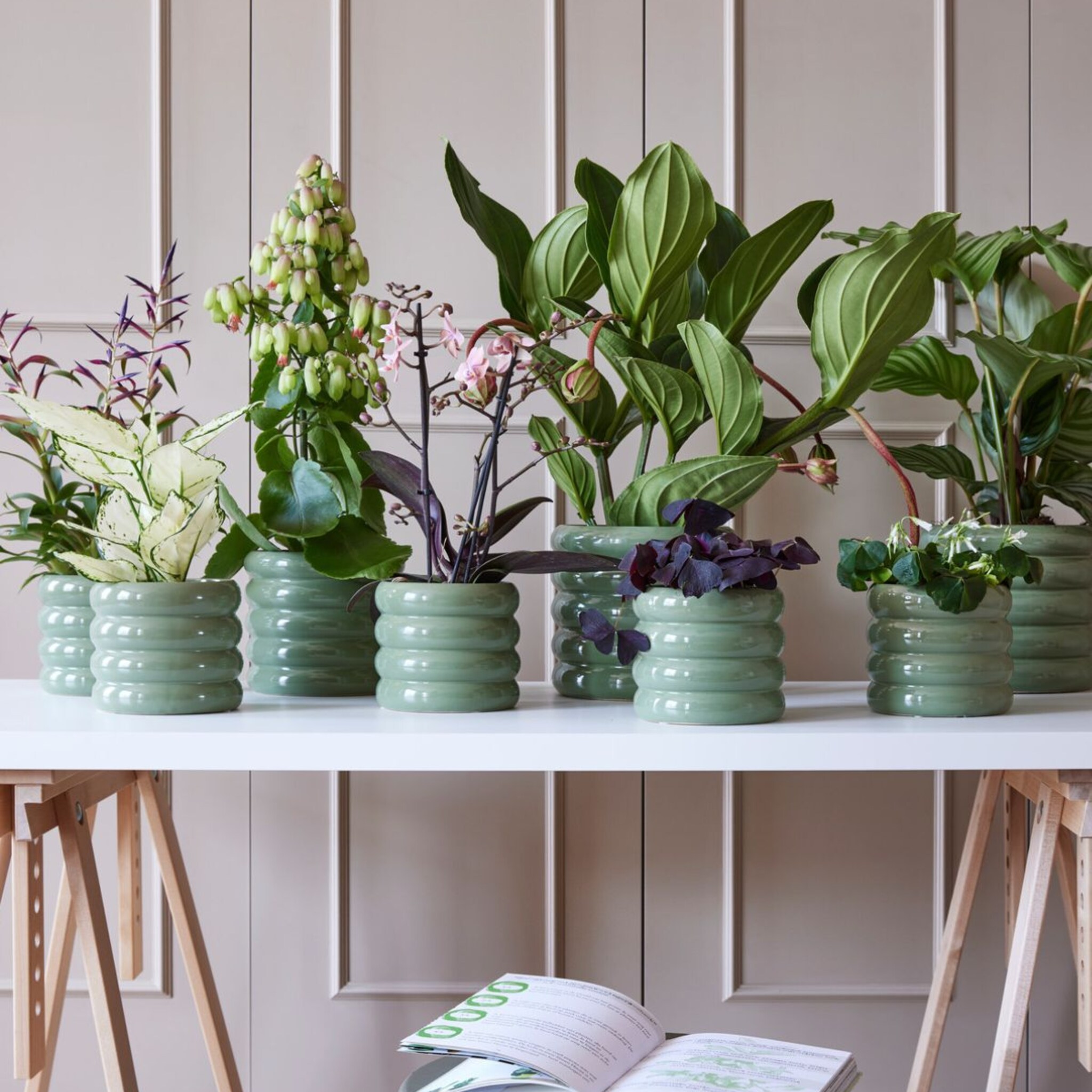 linkinbio - 20230322 - pot & plant collectie