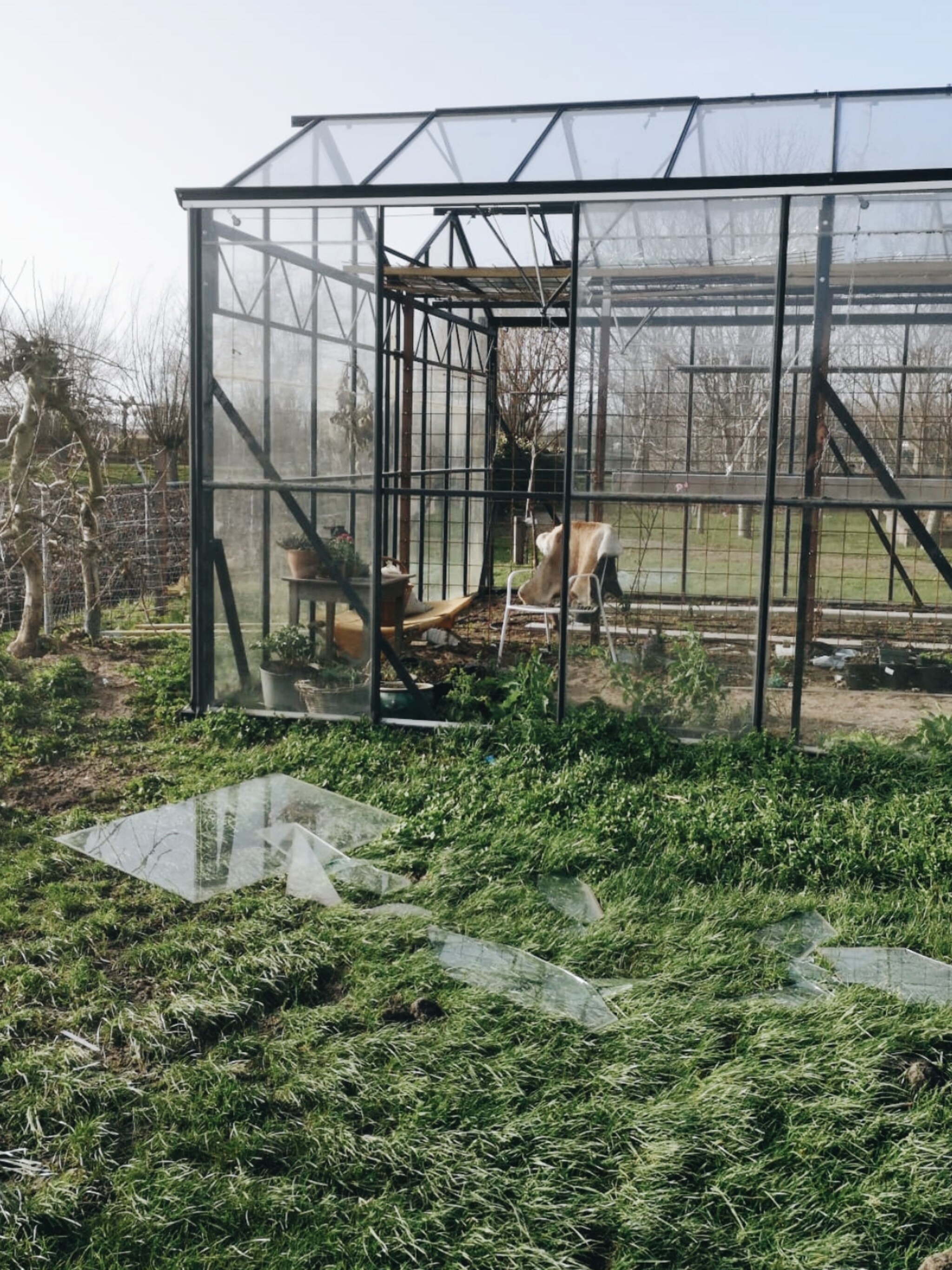 storm houdt huis in de tuin van vivian en mark miljoenen stukjes glas