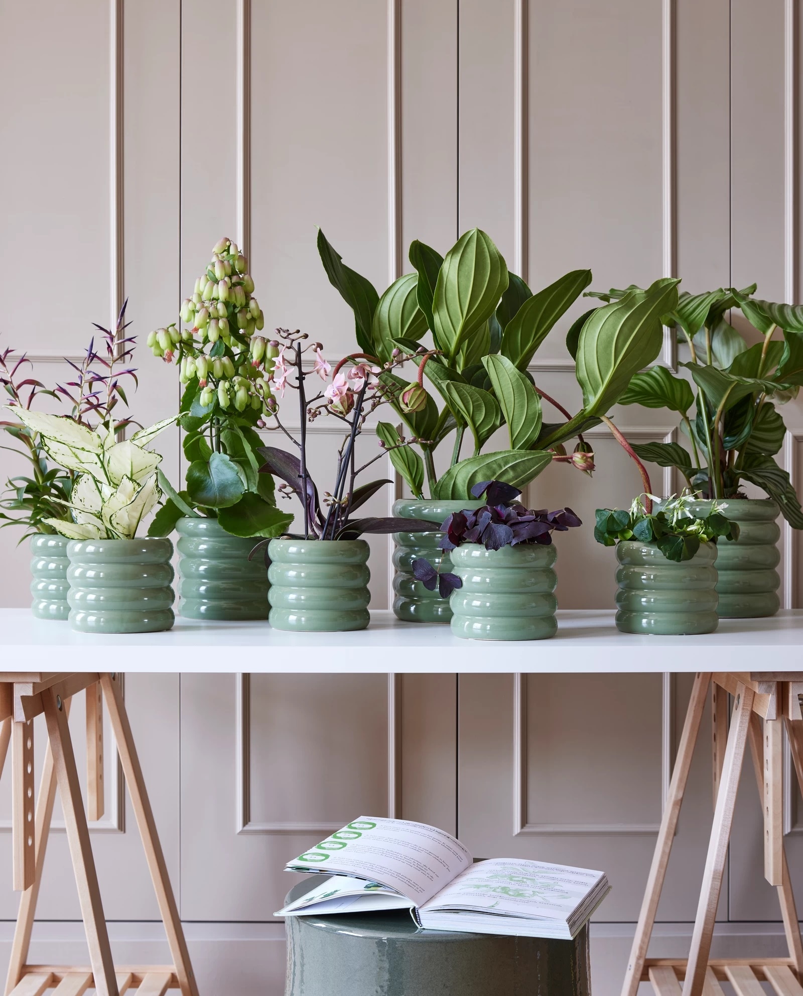 Beeld vtwonen pot &amp; plant collectie 03-2023 | styling Marianne Luning | fotografie Alexander van Berge Beeld vtwonen pot &amp; plant collectie 03-2023 | styling Marianne Luning | fotografie Alexander van Berge