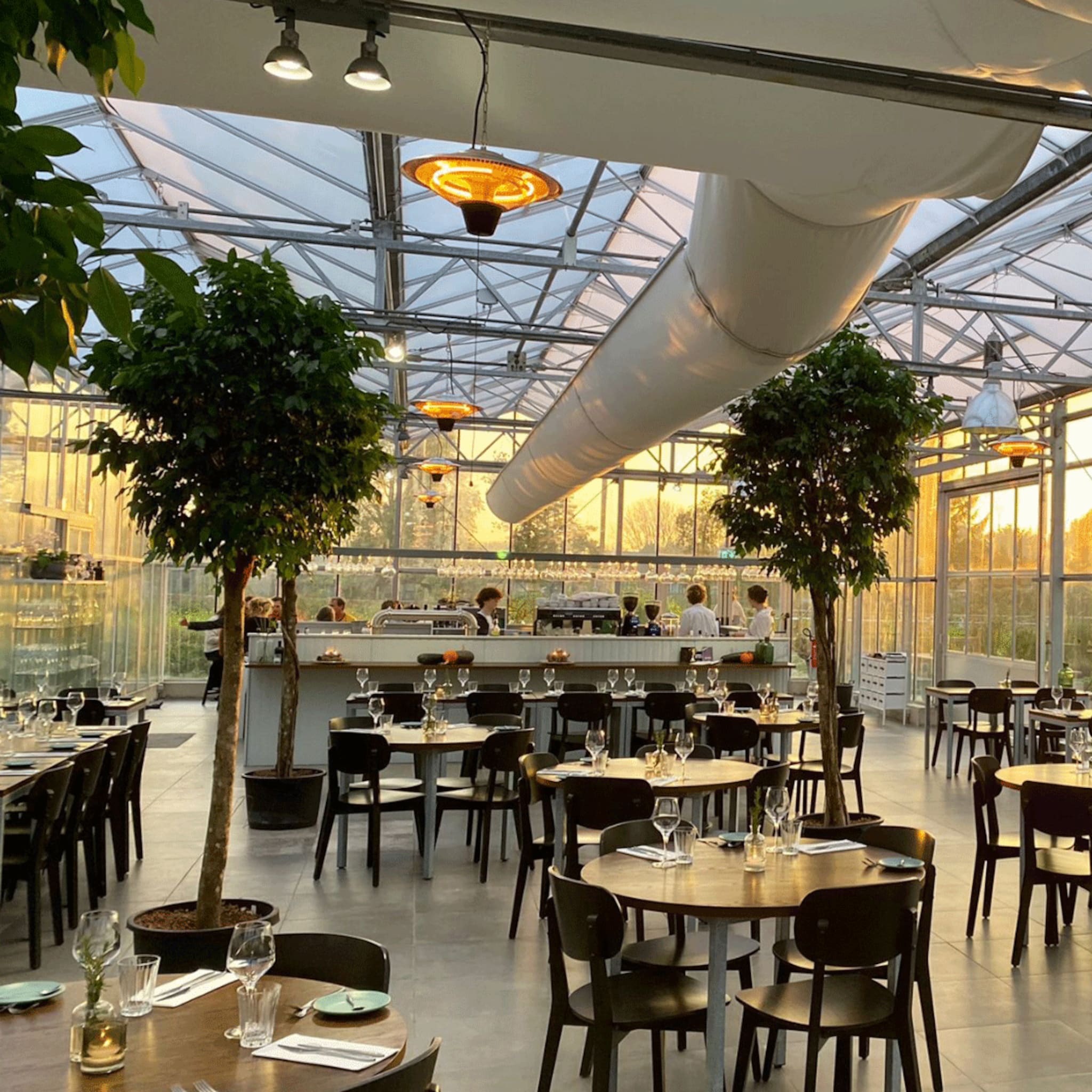 linkinbio - 20230410 - hotspots eten in een kas