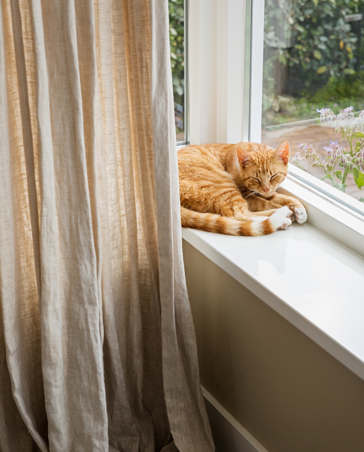 Kat, raamkozijn, beige gordijn vtwonen bk 10-2022 | Fotografie Dana van Leeuwen